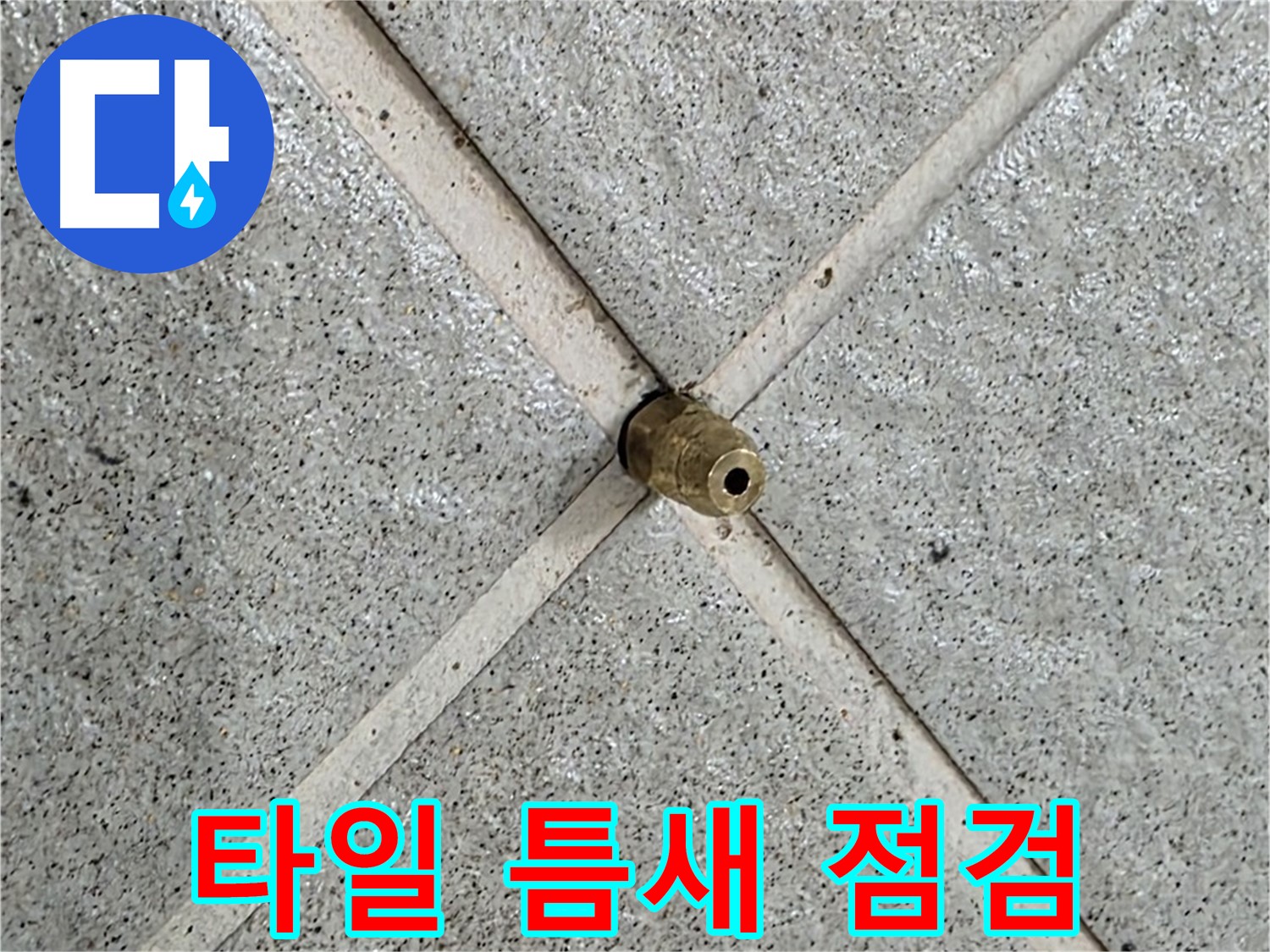 분당 운중동 산운로 누수 - 타일 사이 작은 틈새 꼼꼼하게 점검 중