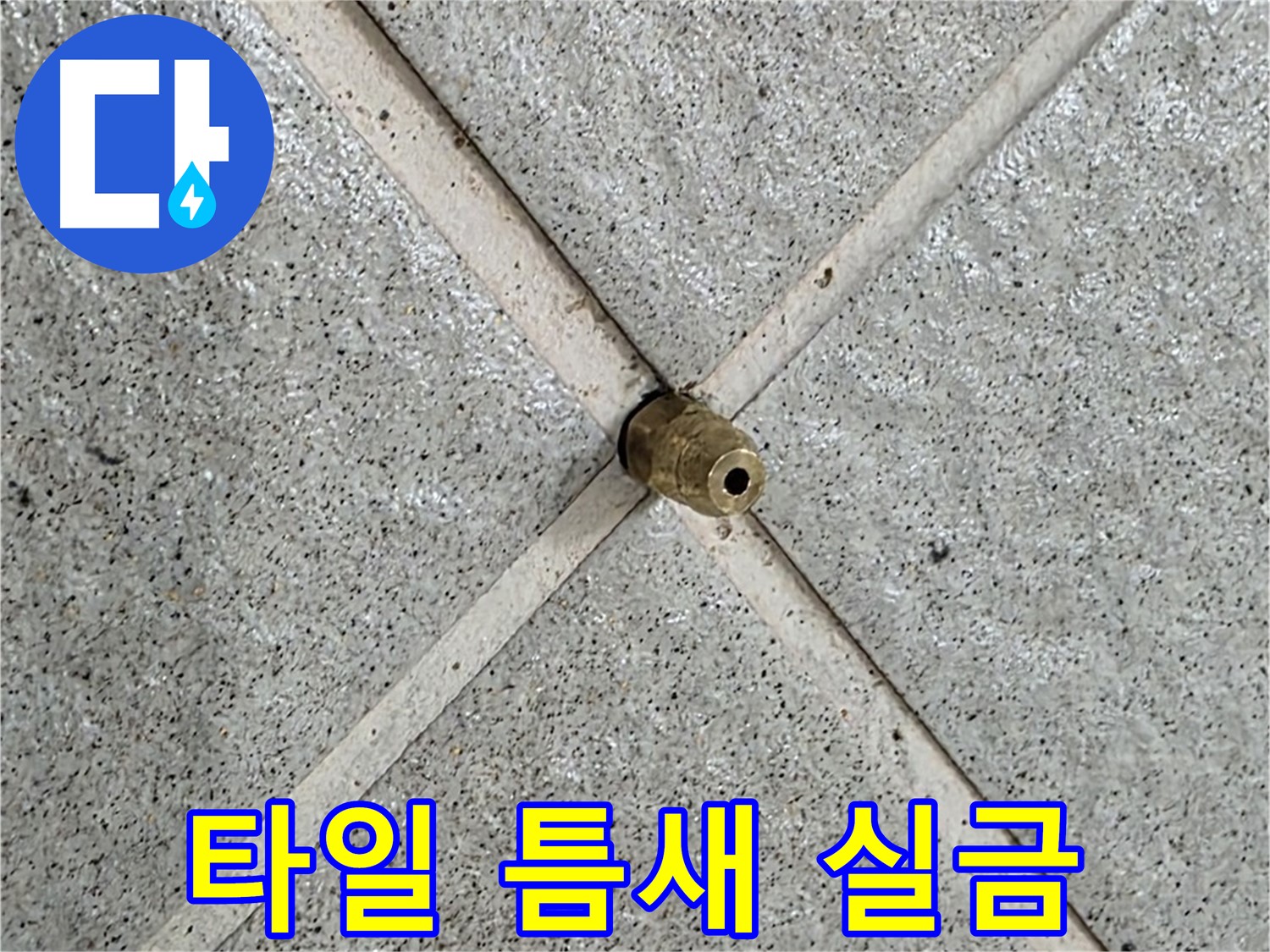 분당 운중동 산운로 누수 - 타일 틈새의 미세한 실금에서 누수 발견