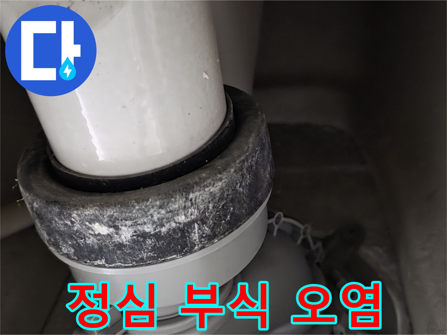 분당 운중동 산운마을 6단지 변기 누수 - 정심 부식 및 오염 상태 심각