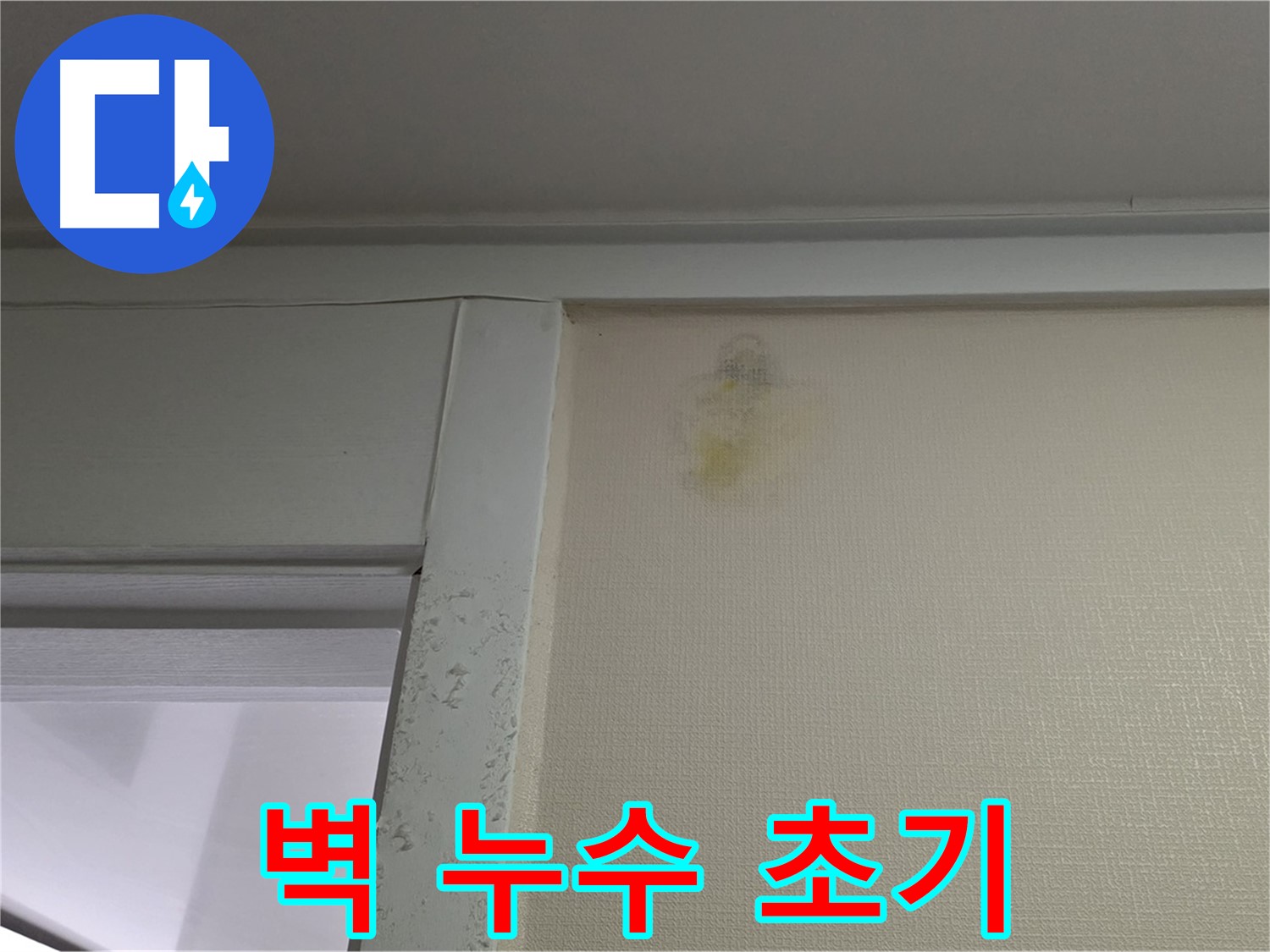 분당 운중동 산운마을 6단지 아파트 벽 누수 초기 - 신속한 초기 대응 및 진단