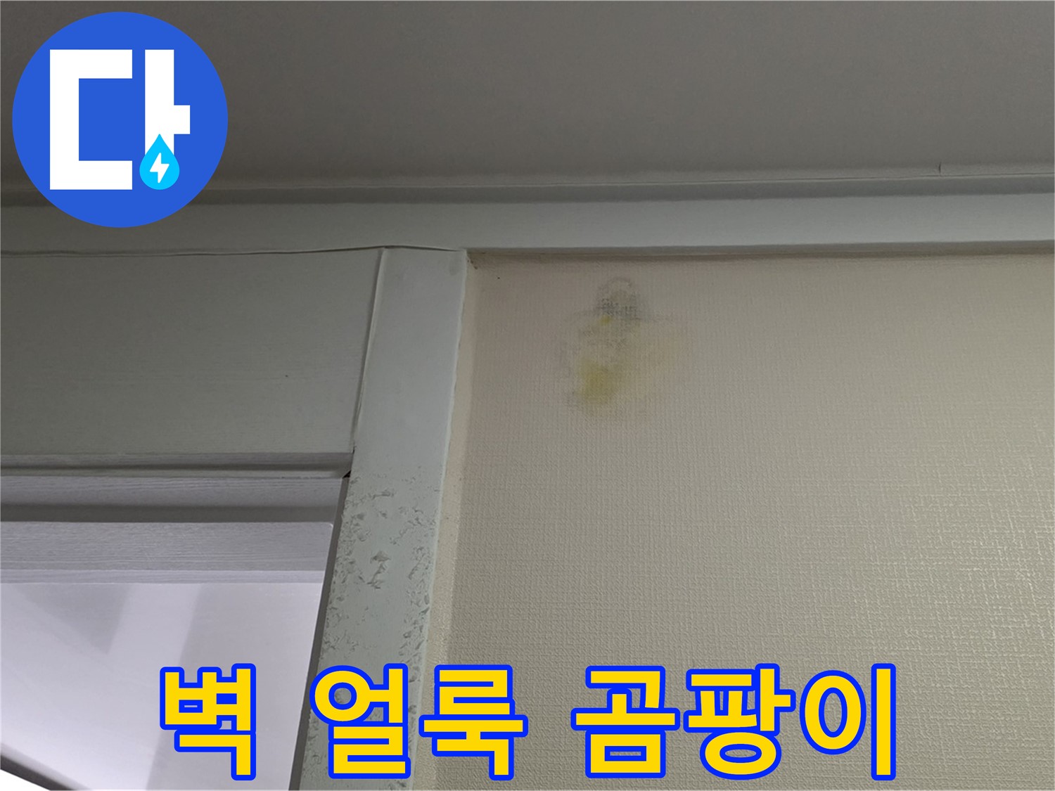 분당 운중동 산운마을 아파트 - 벽 얼룩 주변 곰팡이 초기 누수 의심, 습도 측정