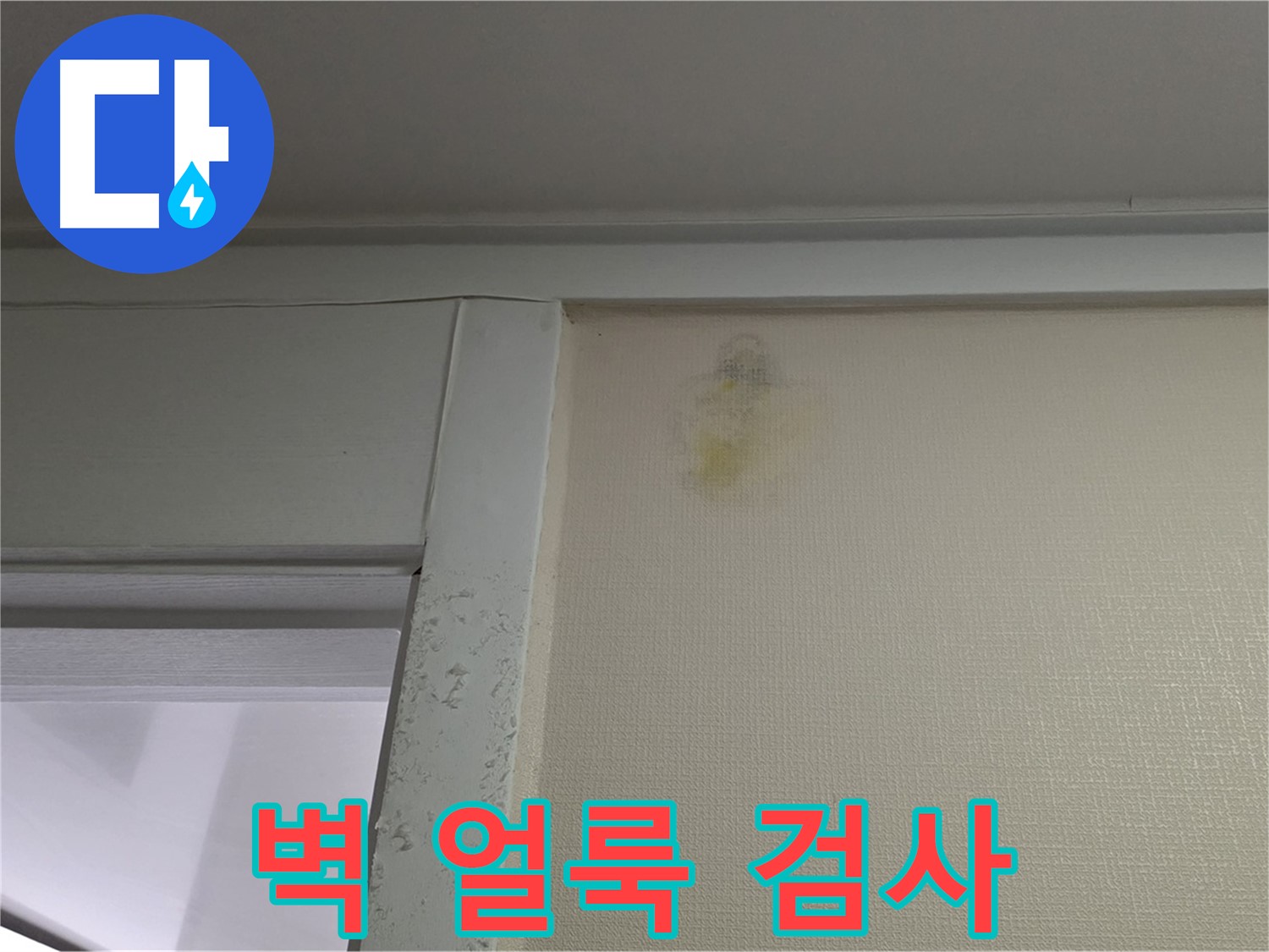 분당 운중동 산운마을 아파트 벽 얼룩 - 초기 누수 의심 및 정밀 검사 진행