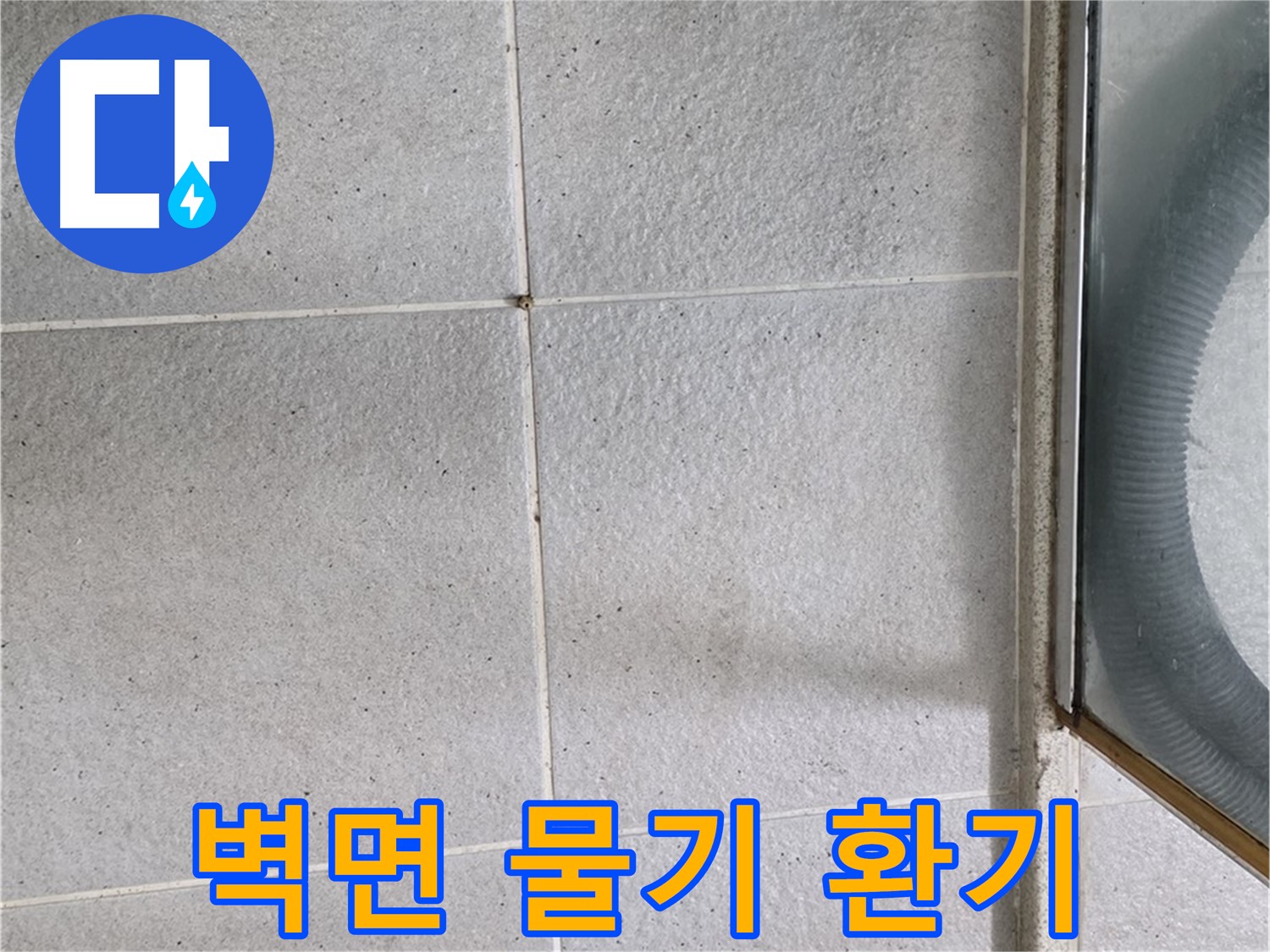 분당 운중동 욕실 - 샤워 후 벽면 물기 제거와 환기는 곰팡이와 누수 예방의 필수 습관입니다.