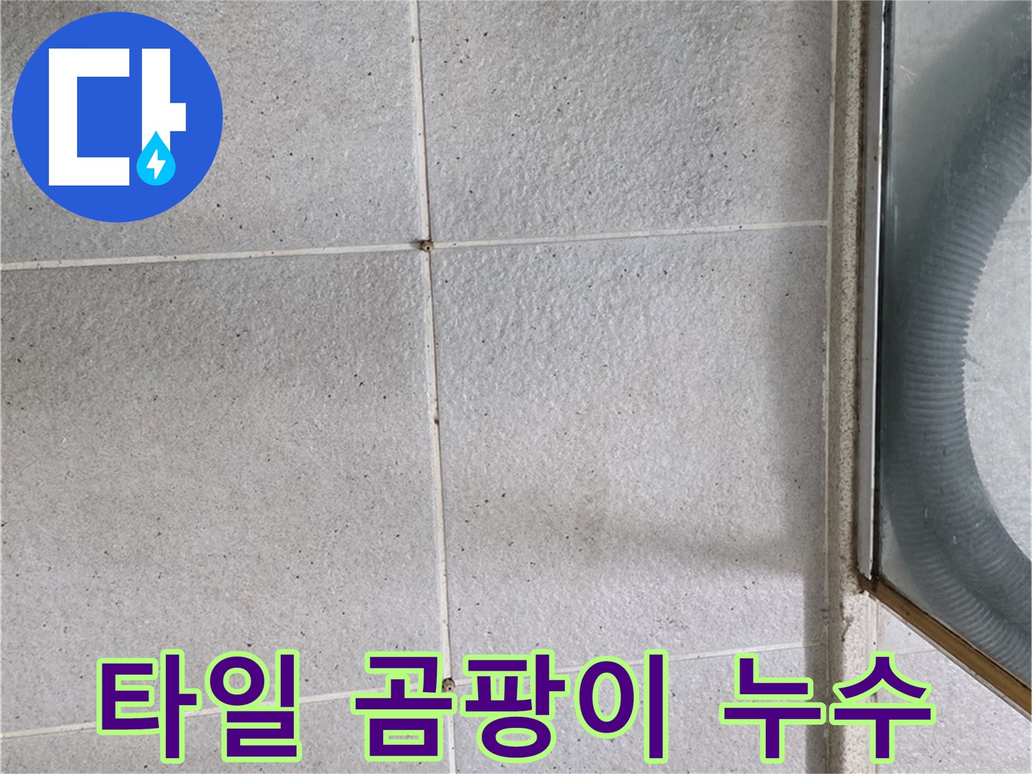 분당 운중동 욕실 타일 틈새 곰팡이 - 곰팡이는 습한 환경을 나타내며, 누수의 간접적인 증거가 될 수 있습니다.