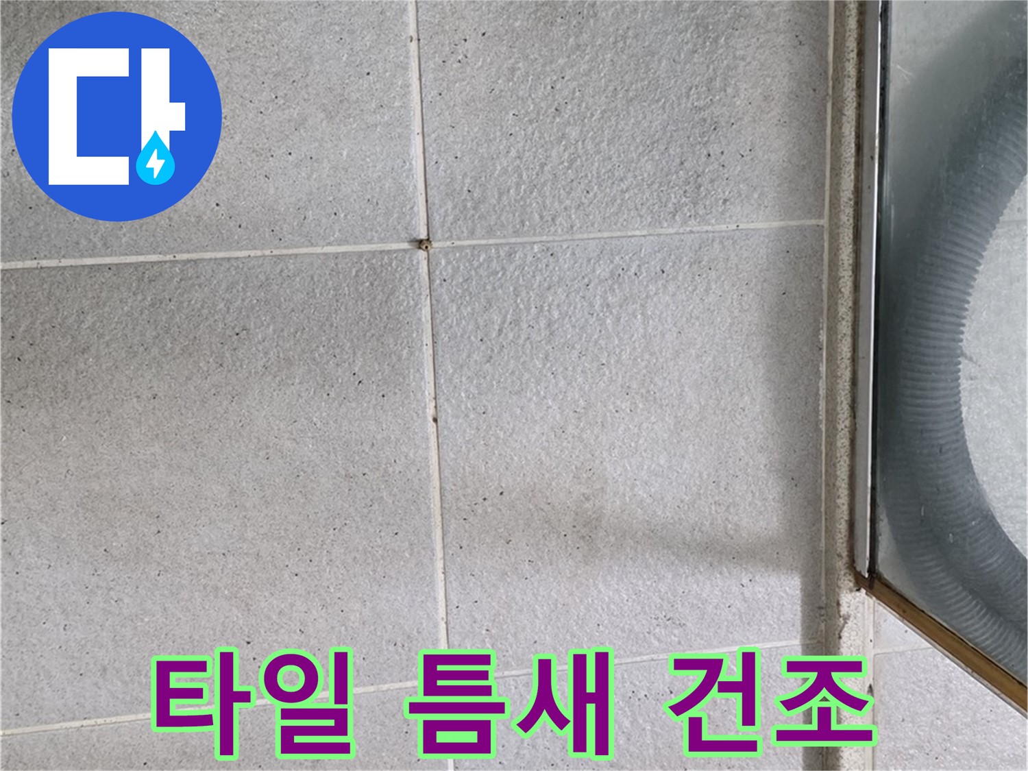 분당 운중동 욕실 - 타일 틈새 물기 제거는 곰팡이 예방과 누수 방지에 효과적입니다.
