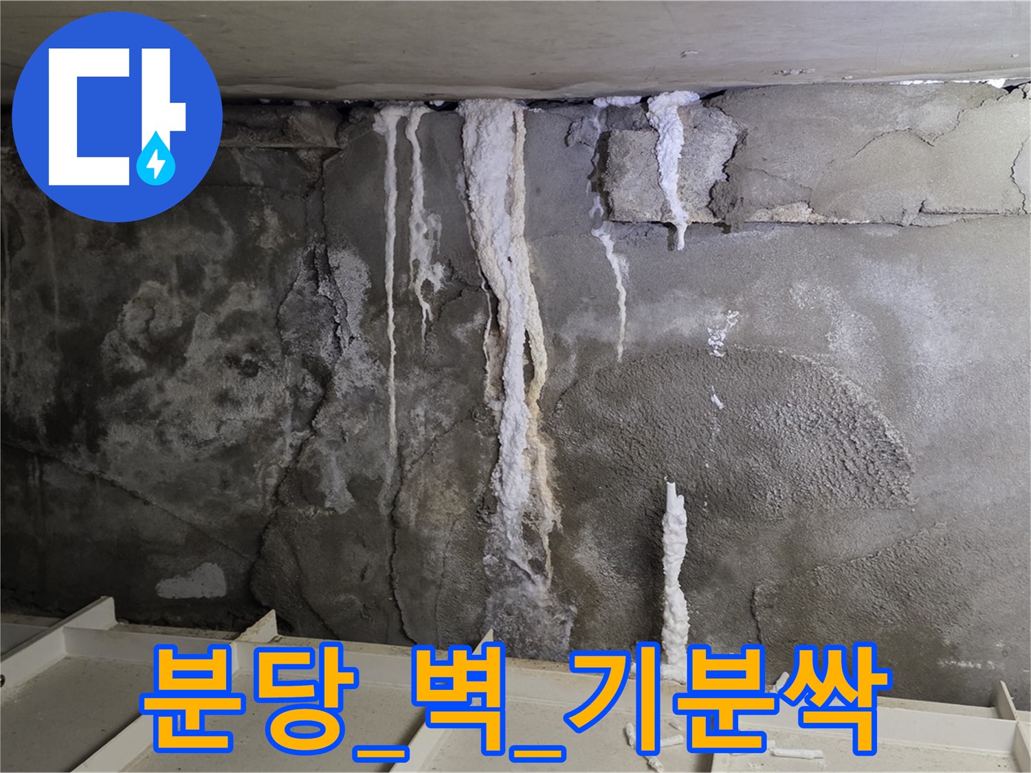 분당 콘크리트 벽 - 석회수 뚝뚝, 긴급 콜, 찝찝한 기분 싹