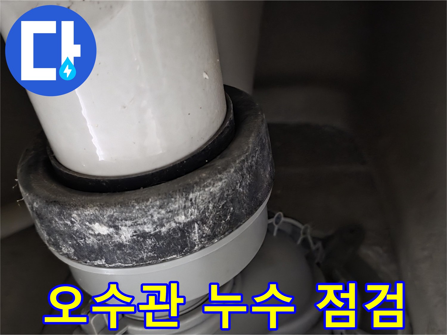 분당구 운중동 산운마을 6단지 변기 누수 - 오수관 누수 여부 꼼꼼하게 점검