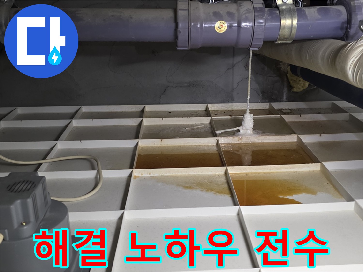 성남 분당 운중동 산운마을 6단지에서 누수 문제를 완벽하게 해결하는 노하우를 보여주는 모습 - 숙련된 기술과 경험이 중요합니다.