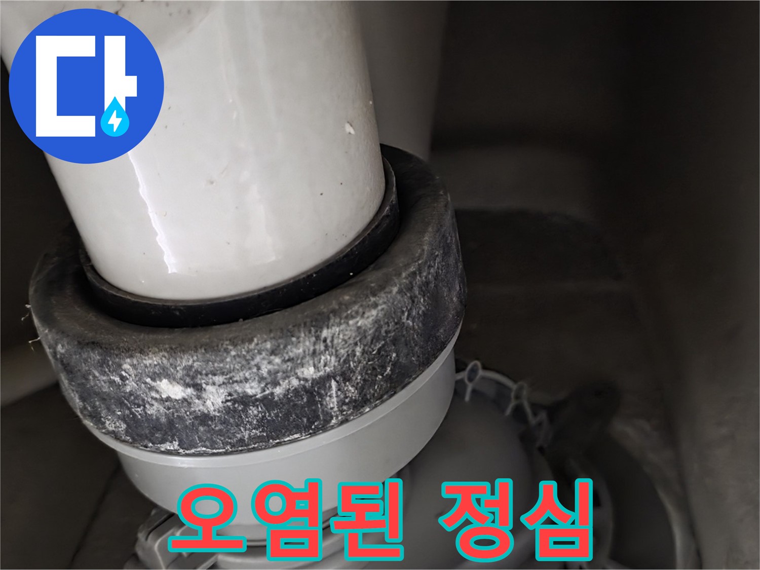 성남 분당 운중동 산운마을 변기 누수 - 오염된 정심 상태를 자세히 보여드립니다