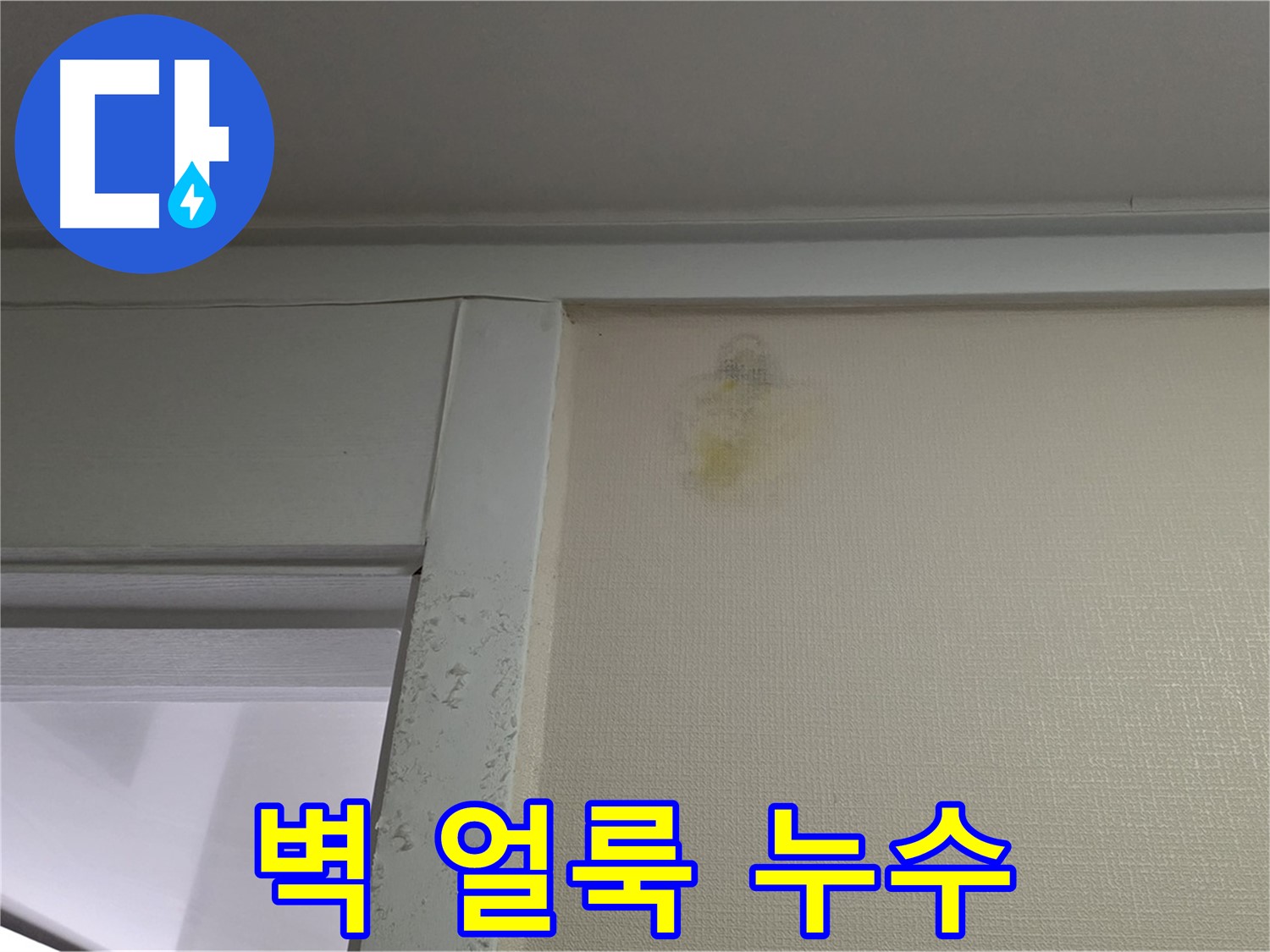 성남 분당 운중동 산운마을 아파트 벽 얼룩 - 누수 초기 증상 확인 및 원인 분석