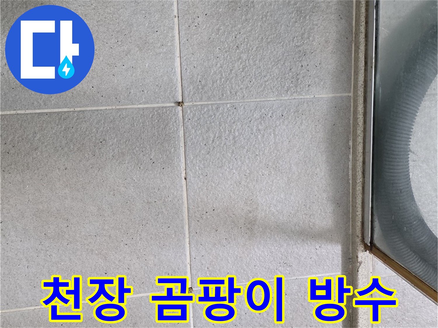 성남 분당 운중동 욕실 천장 - 곰팡이 제거 후 방수 작업으로 누수를 해결합니다.