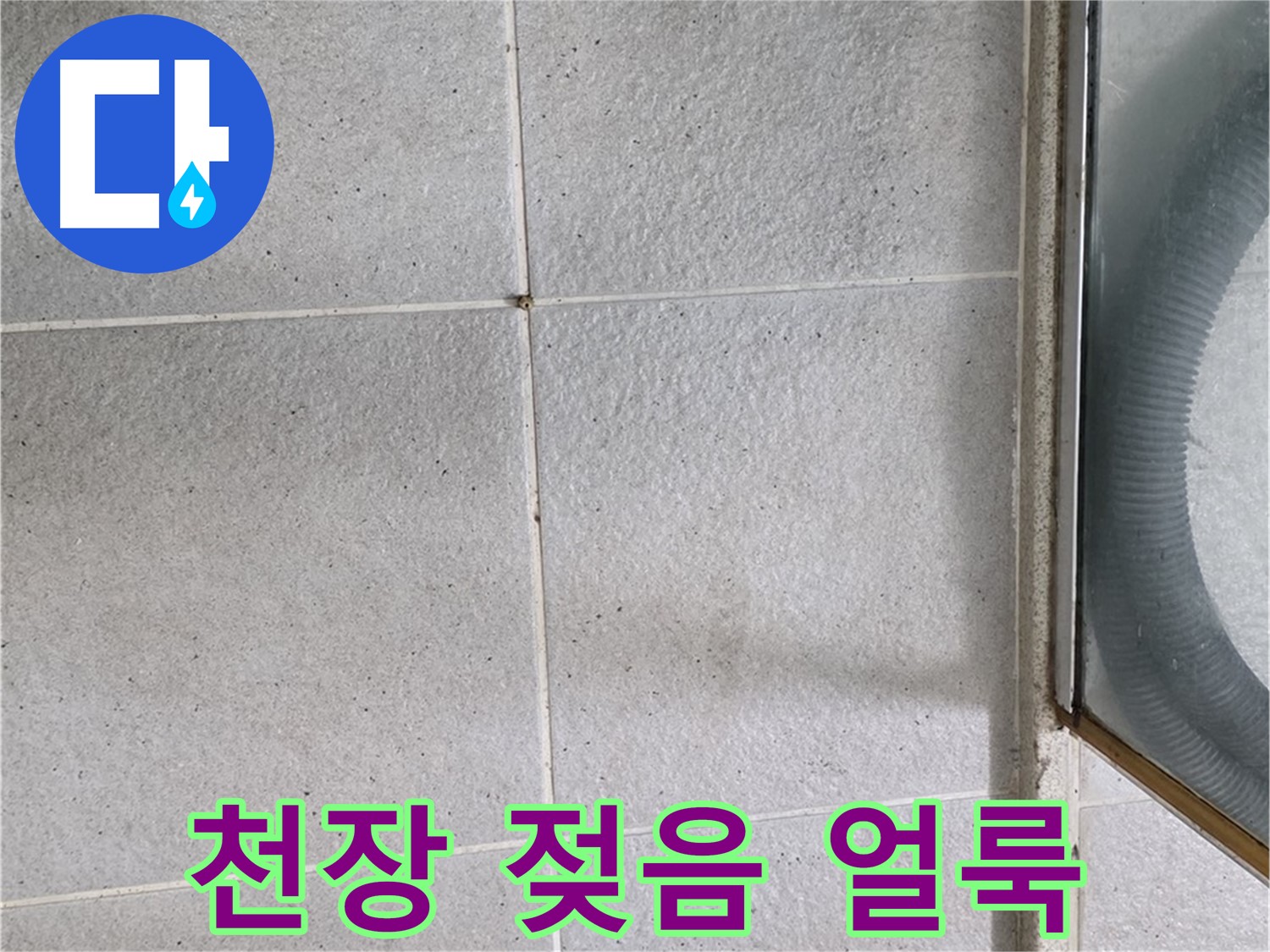 성남 분당 운중동 욕실 천장 - 석고보드 젖음과 얼룩은 윗집 누수의 명백한 증거입니다.