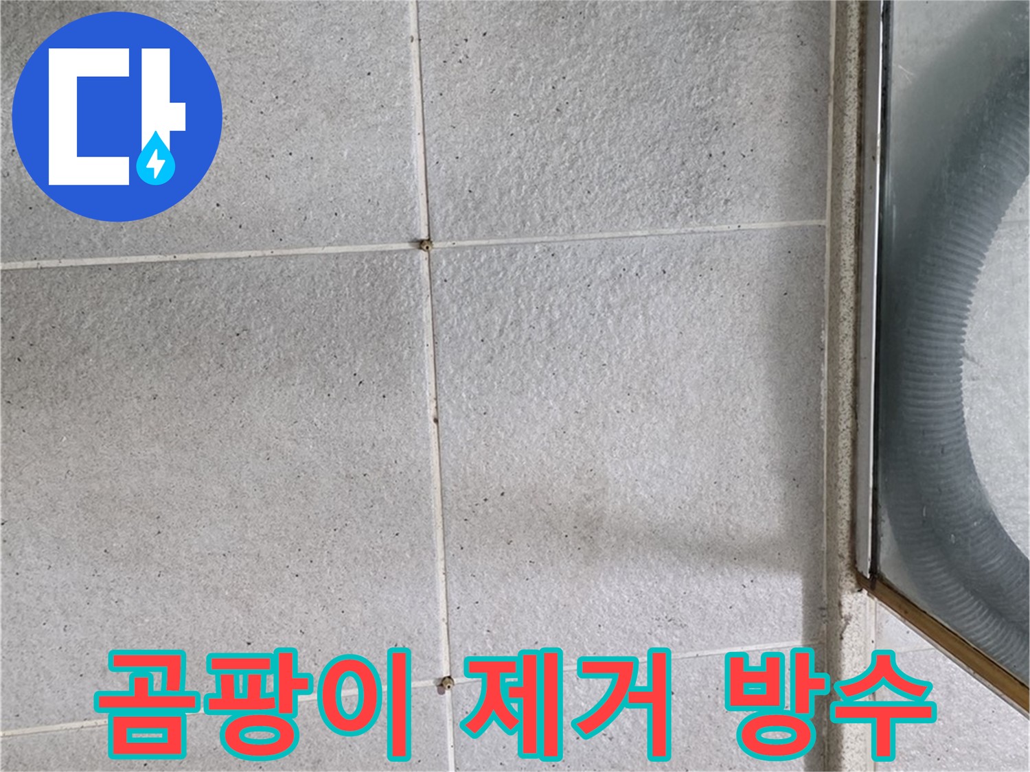 성남 분당 운중동 욕실 타일 틈새 - 곰팡이 제거 후 방수 작업으로 누수를 해결합니다.