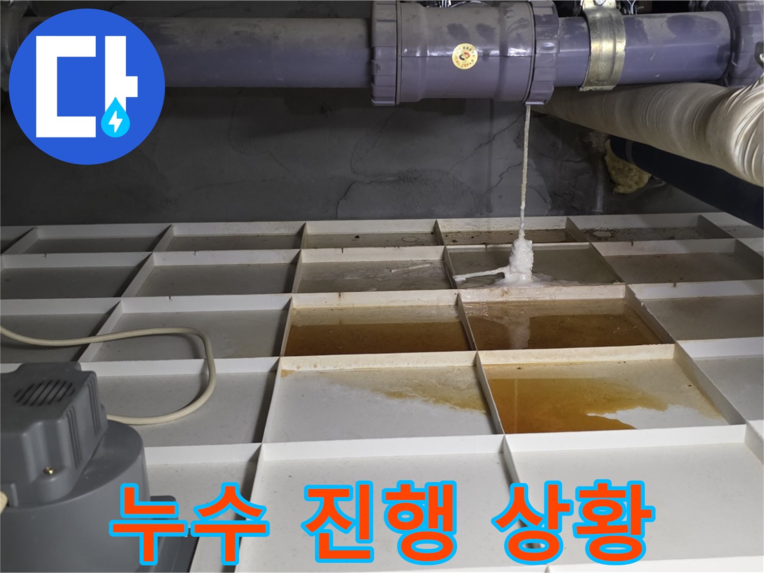 성남시 분당구 운중동 산운마을 601동에서 누수가 진행 중인 모습 - 빠른 조치가 필요합니다.