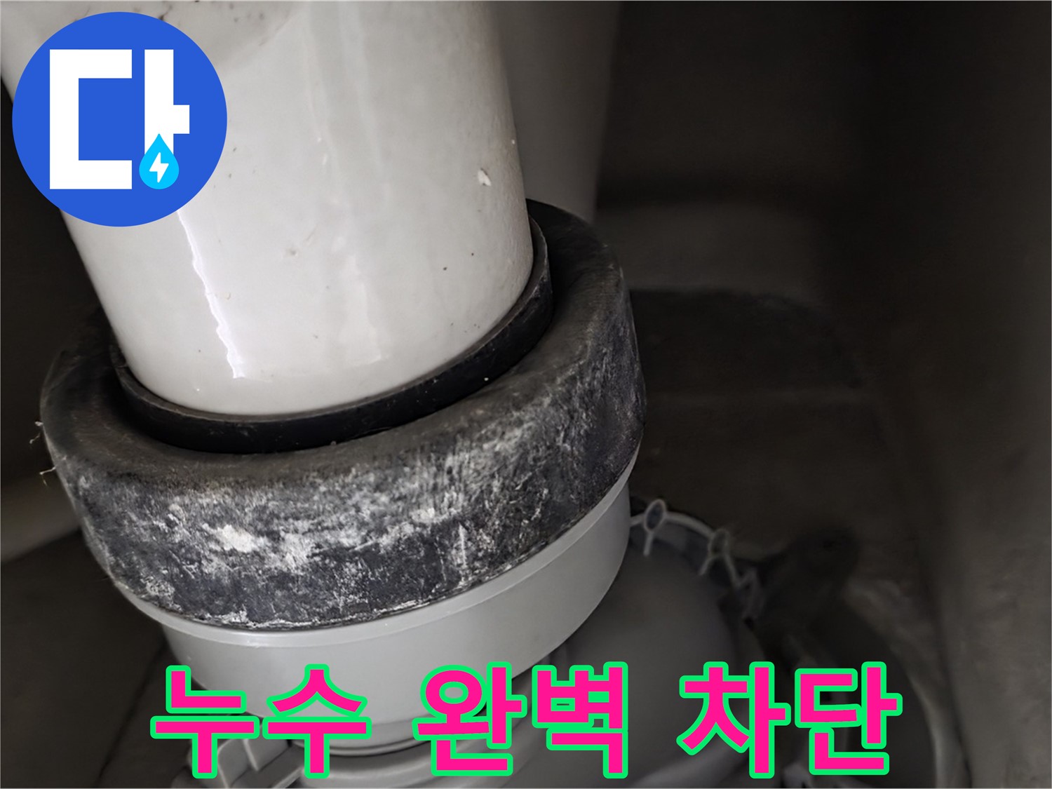 성남시 분당구 운중동 산운마을 변기 누수 - 오수관 누수 완벽하게 차단