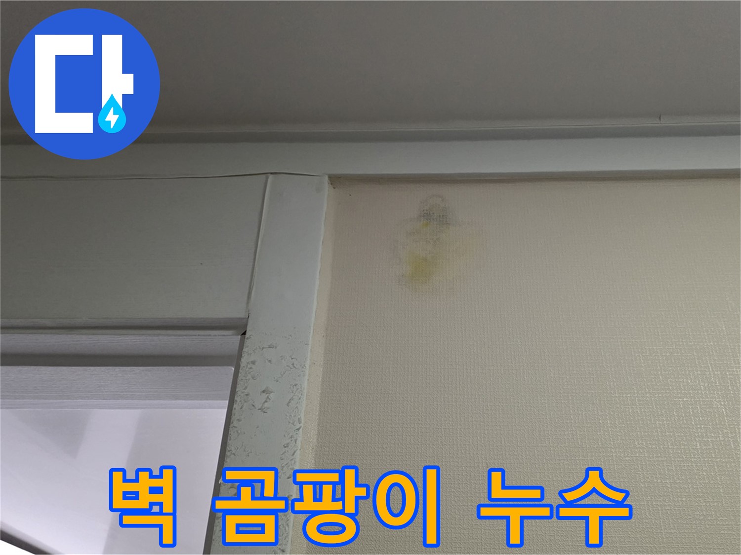 성남시 분당구 운중동 산운마을 아파트 벽 곰팡이 - 누수 원인 진단 및 곰팡이 제거