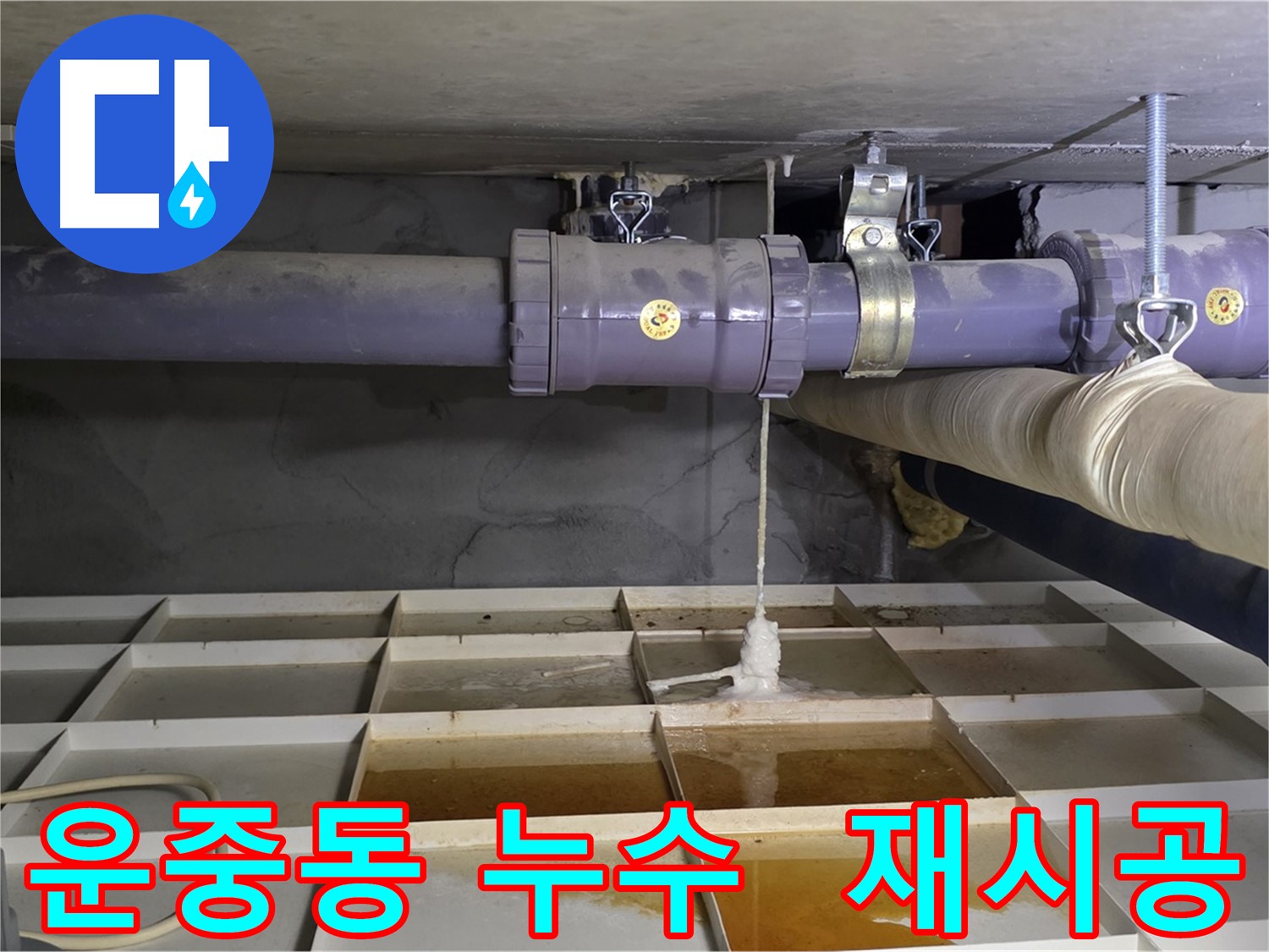 운중동 누수 - 배관 연결 불량, 정확한 재시공으로 완벽 해결