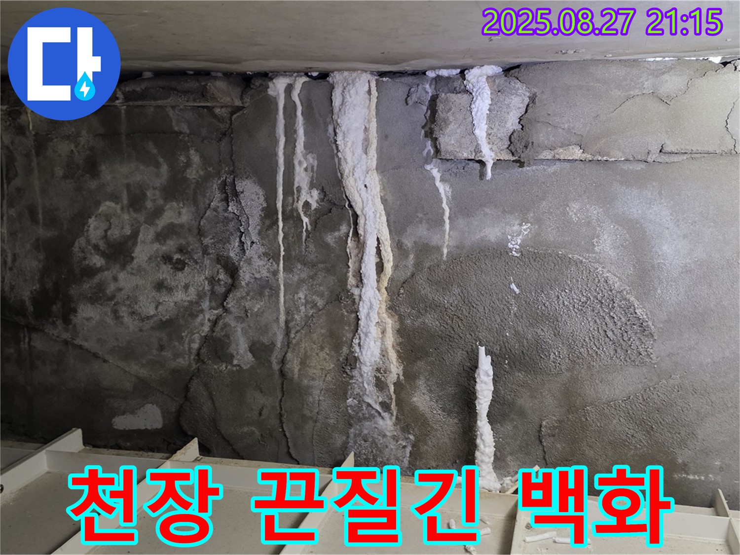 운중동 산운로 주차장 천장 - 끈질기게 발생했던 백화현상을 완벽하게 해결한 시공 사례입니다.
