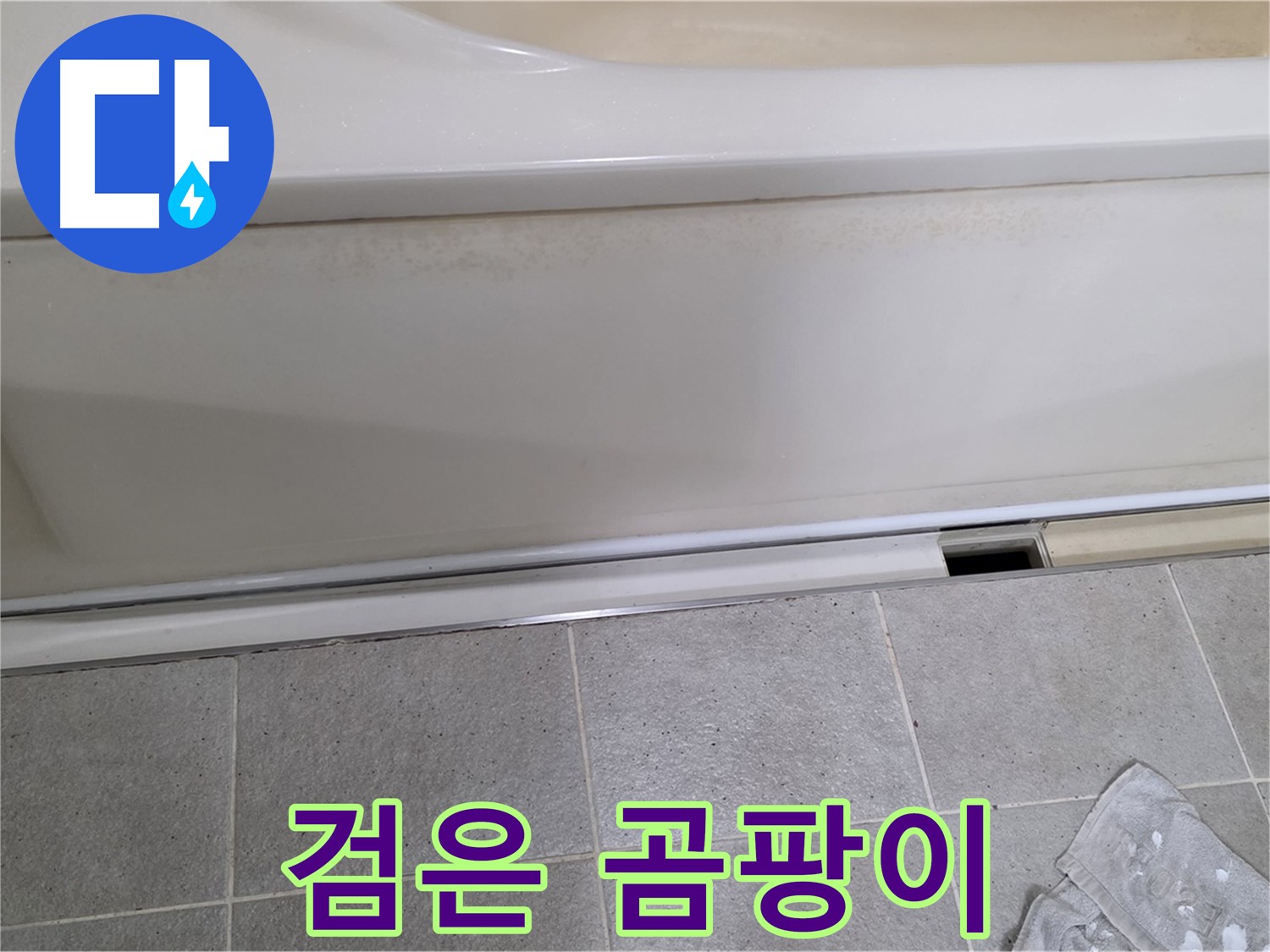 운중동 산운마을에서 욕조 점검구 주변 타일 틈새 검은 곰팡이를 확인하는 모습입니다 - 검은 곰팡이는 습하고 오염된 환경에서 자랍니다.