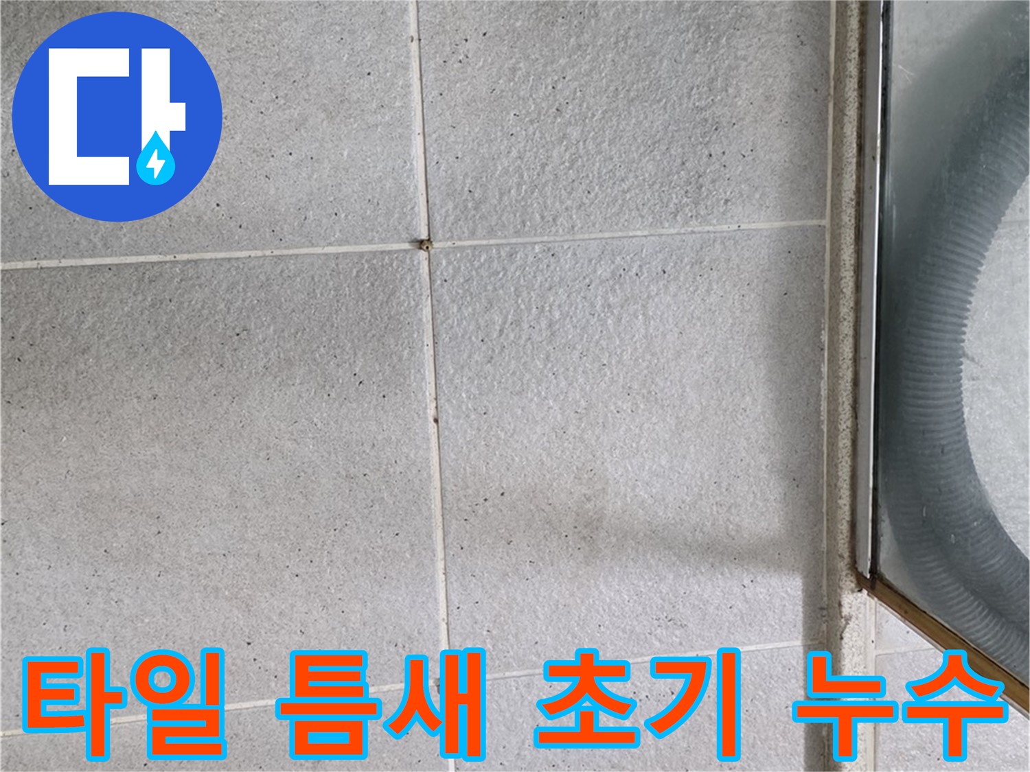 운중동 욕실 바닥 타일 틈새 - 누수 초기 증상으로 틈새에 습기가 차거나 곰팡이가 생길 수 있습니다.
