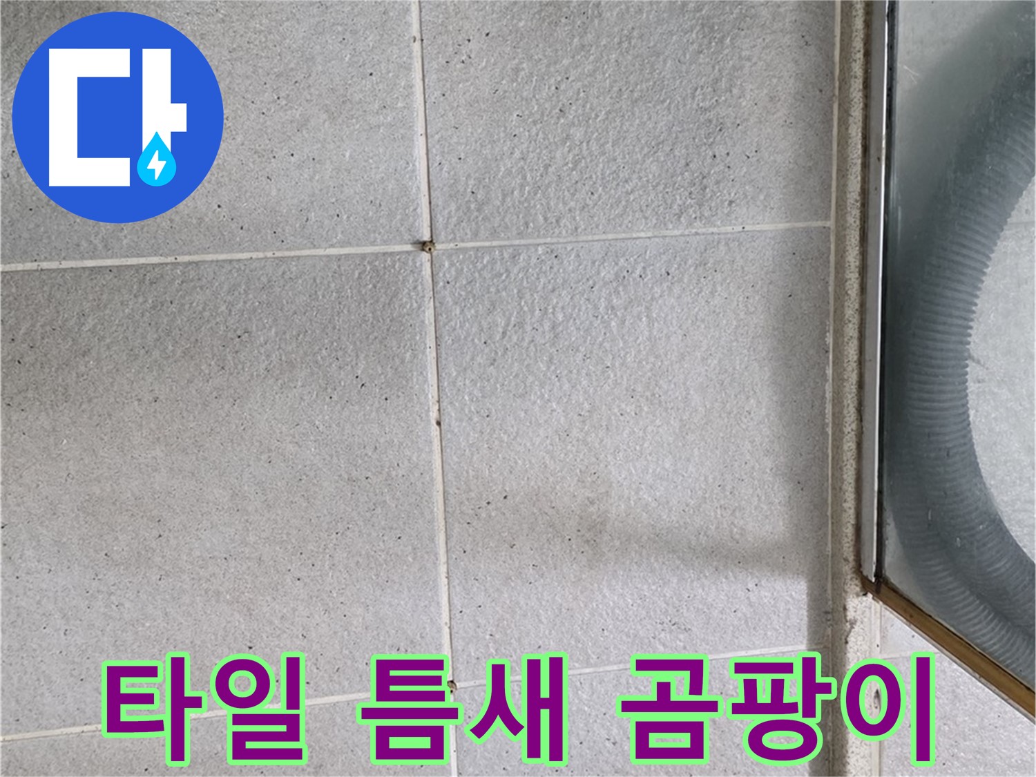 운중동 욕실 벽 타일 틈새 - 습기와 곰팡이가 초기 단계로 발생한 모습입니다.