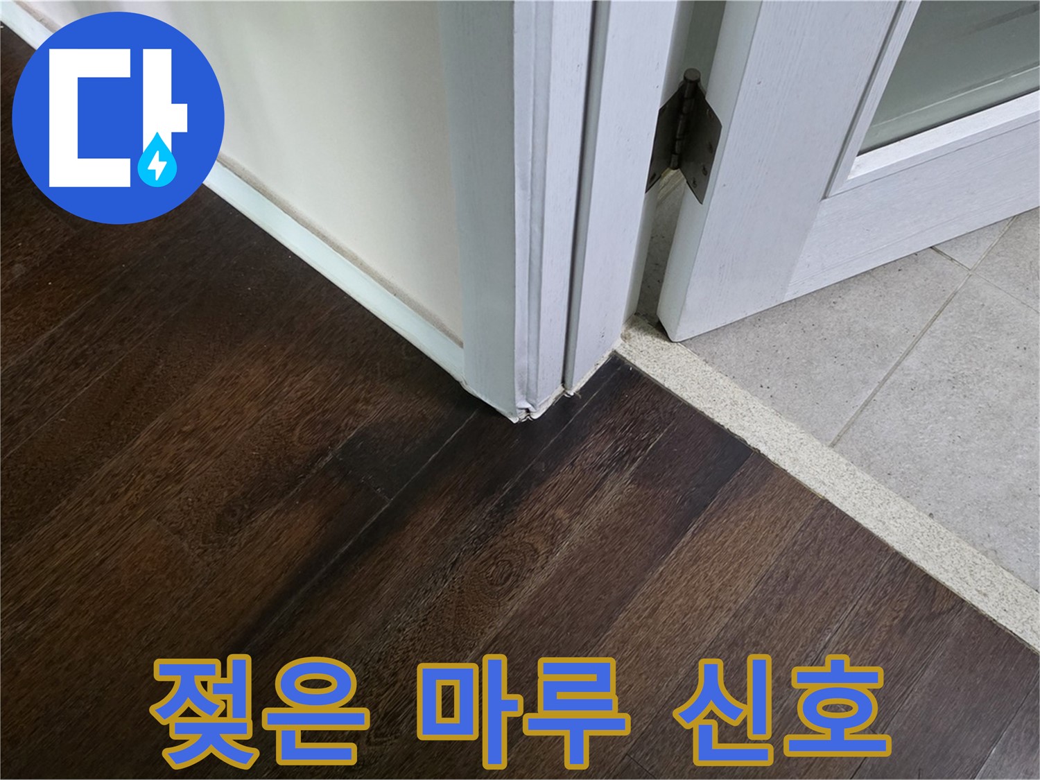 젖은 마루 - 주택 누수 신호, 문제 해결 전문가가 해결합니다.