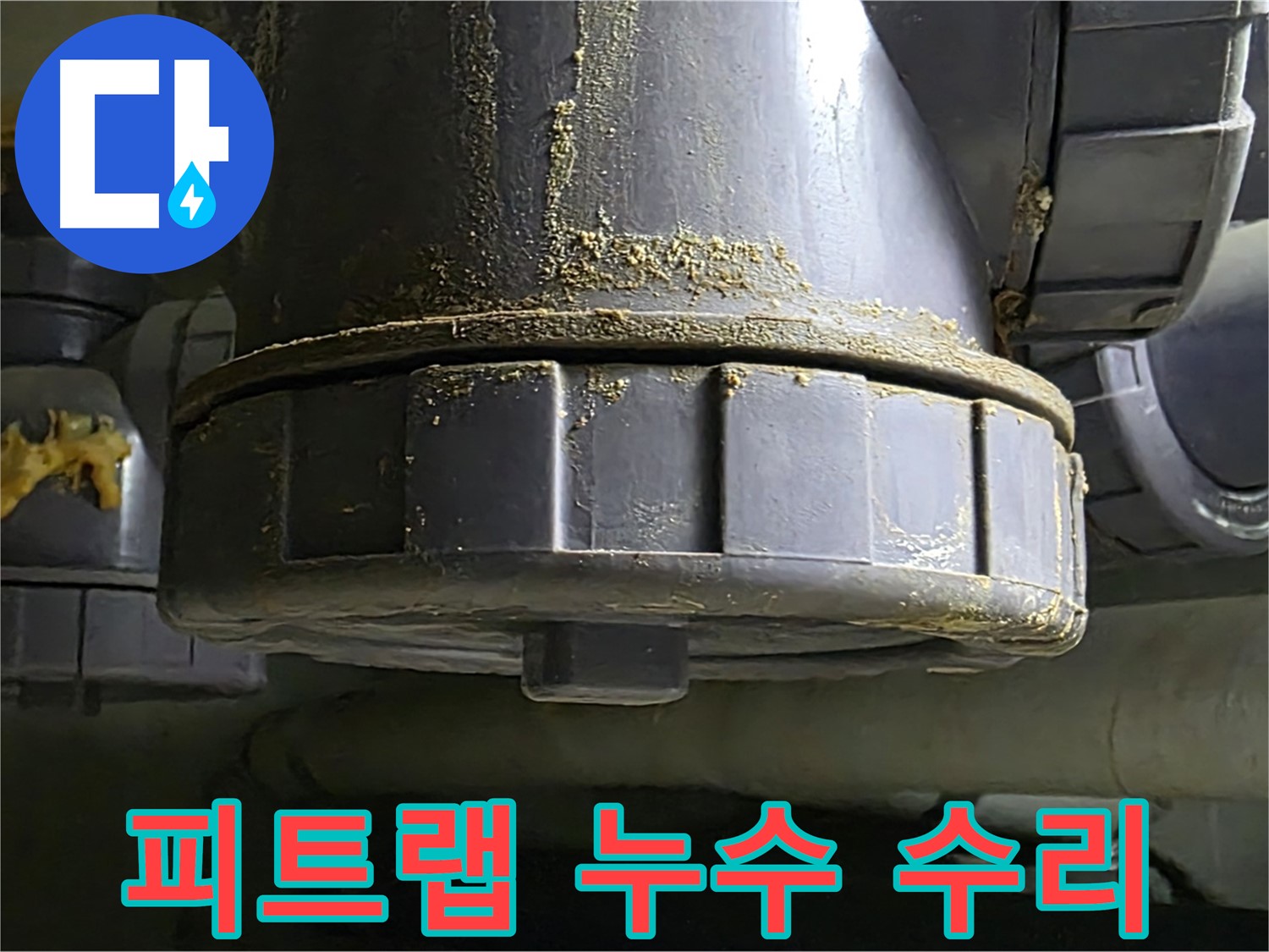 피트랩 연결 부위 누수 - 배수구 냄새와 벌레 차단의 문제