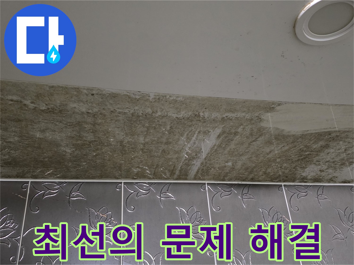화장실 천장 누수 - 곰팡이 문제 해결을 위한 최선의 노력
