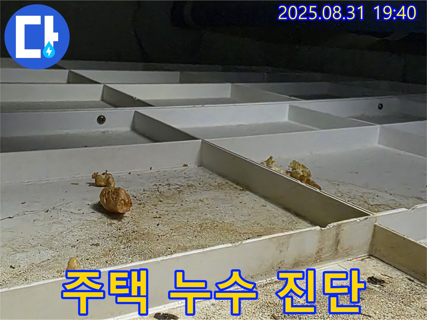 분당 산운로 주택 누수 - 누수 원인 꼼꼼 진단 과정