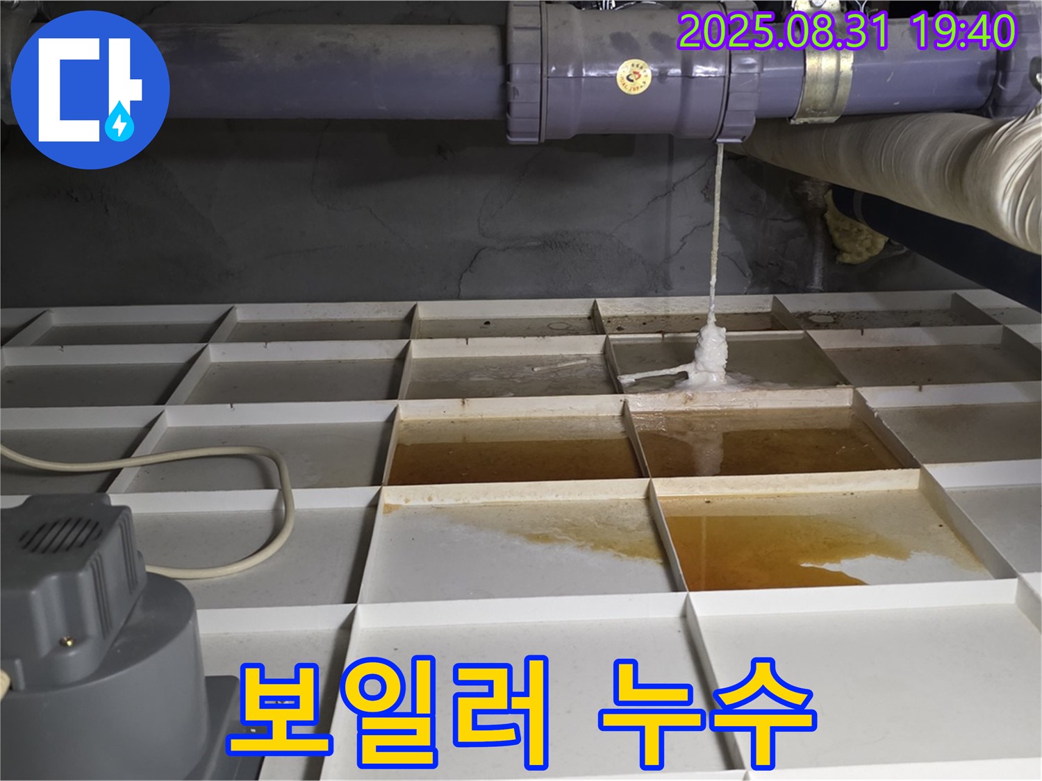 분당 운중동 누수 - 보일러 배관 문제? 긴급 점검 실시