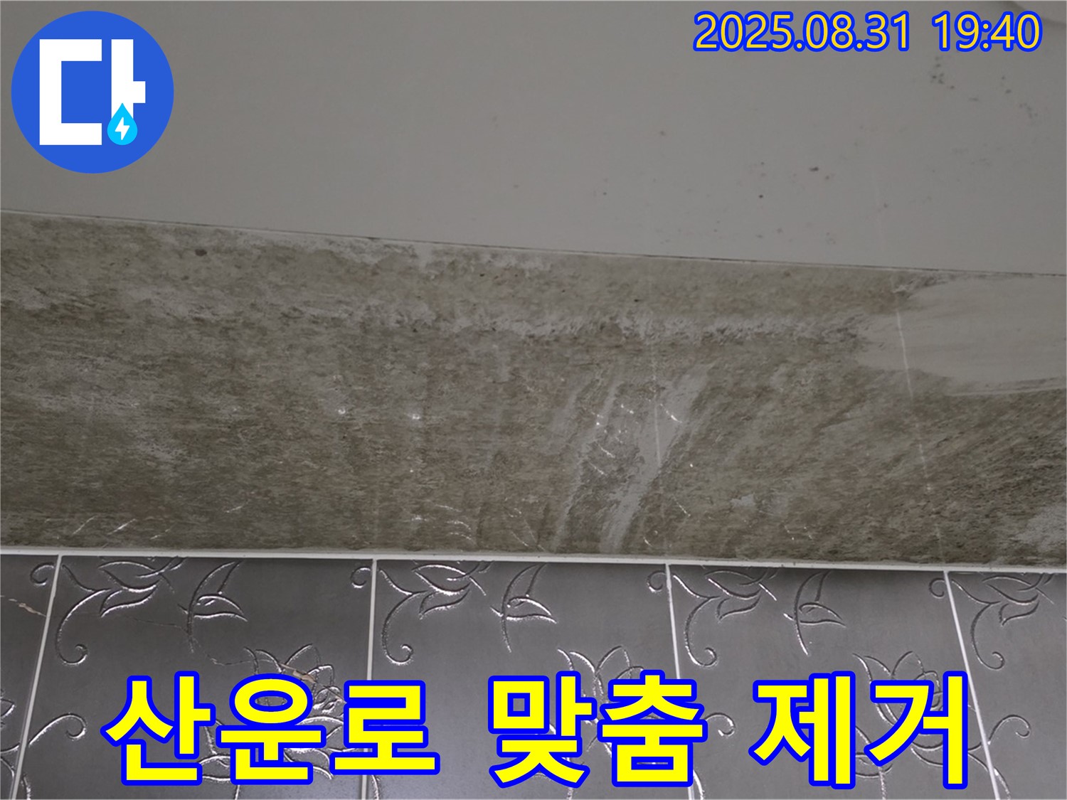 분당구 산운로 욕실 곰팡이 - 곰팡이 종류별 맞춤 제거 효과 UP