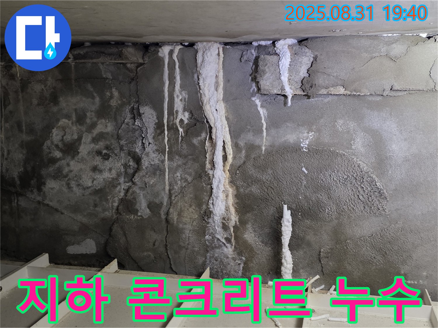 분당구 정자동 빌라 지하 콘크리트 누수 - 심각한 석회수 누수 흔적과 콘크리트 손상, 건물 안전 위협