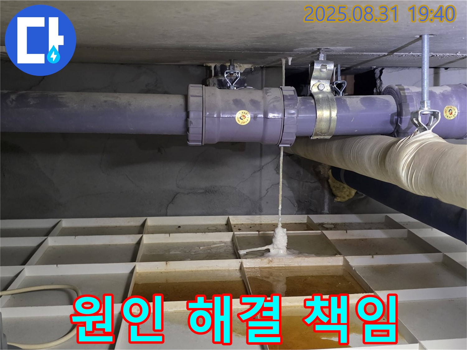 성남시 분당구 누수 - 원인부터 완벽 해결까지 책임 시공!