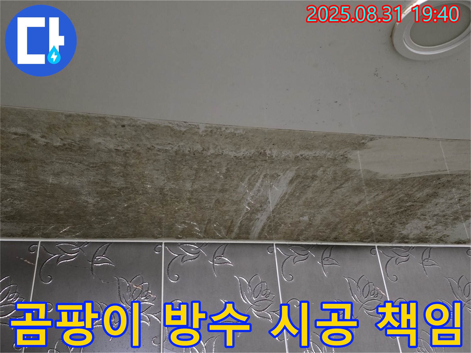 성남시 분당구 백현동 욕실 천장 누수 - 곰팡이 제거와 완벽한 방수 공사로 깔끔하게 해결!