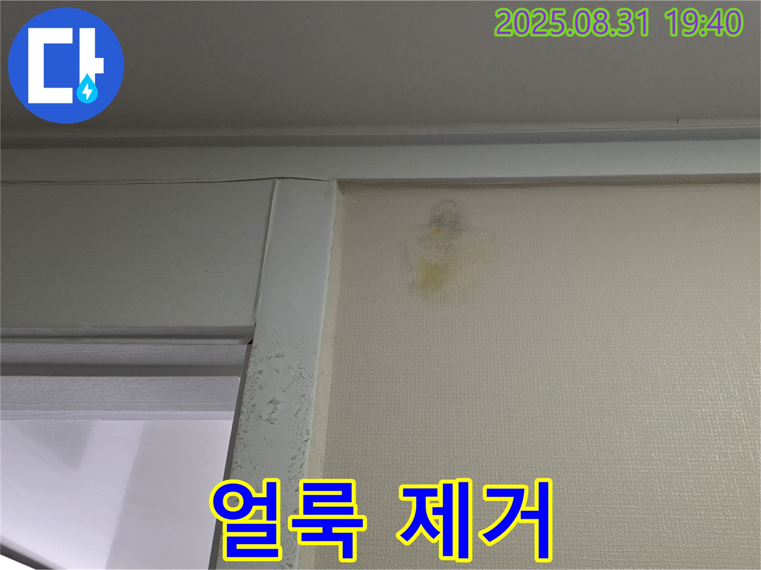얼룩 제거 - 분당 산운로 누수 해결
