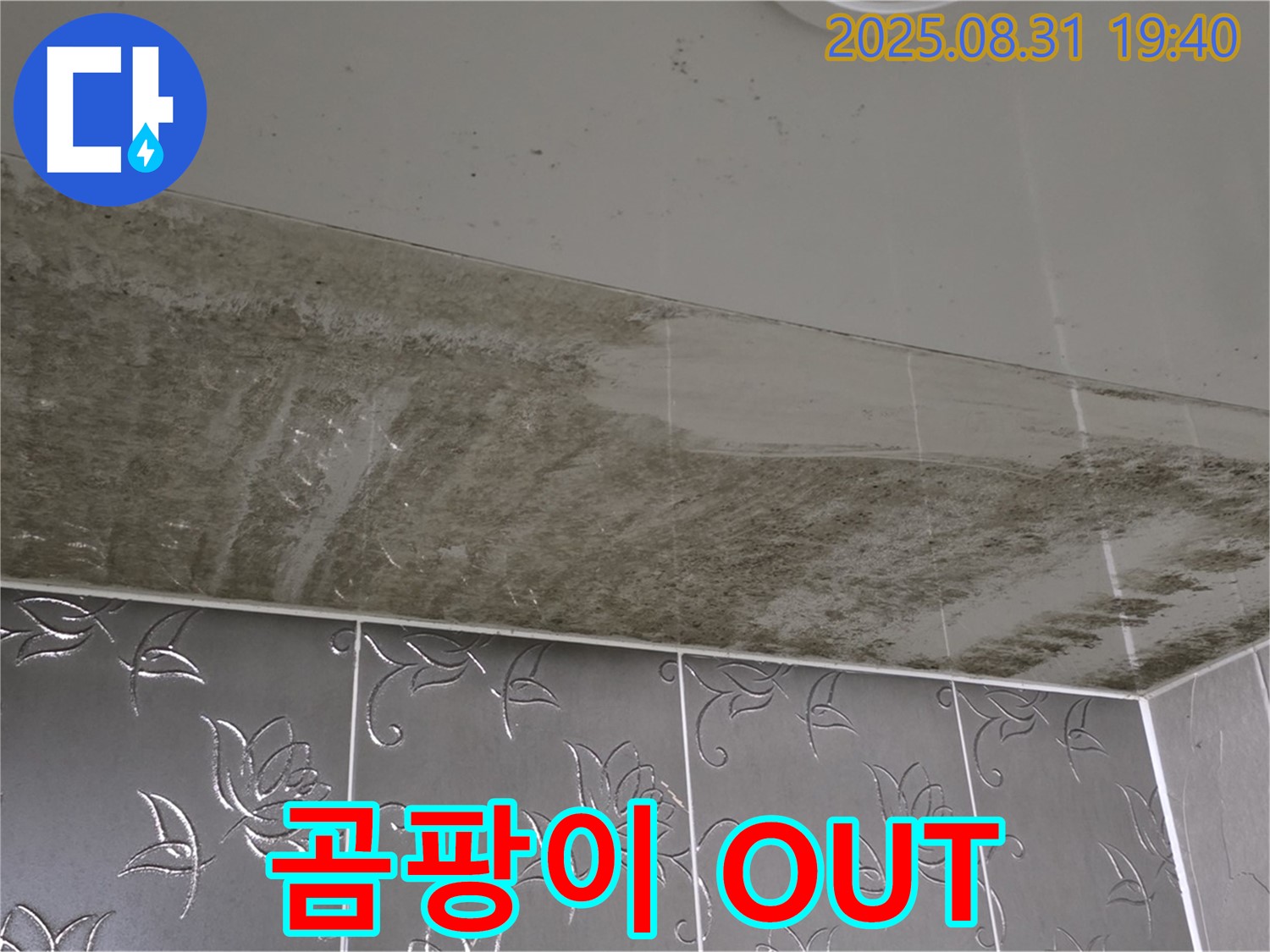 운중동 - 곰팡이 OUT - 새하얗게 되살아난 욕실 천장