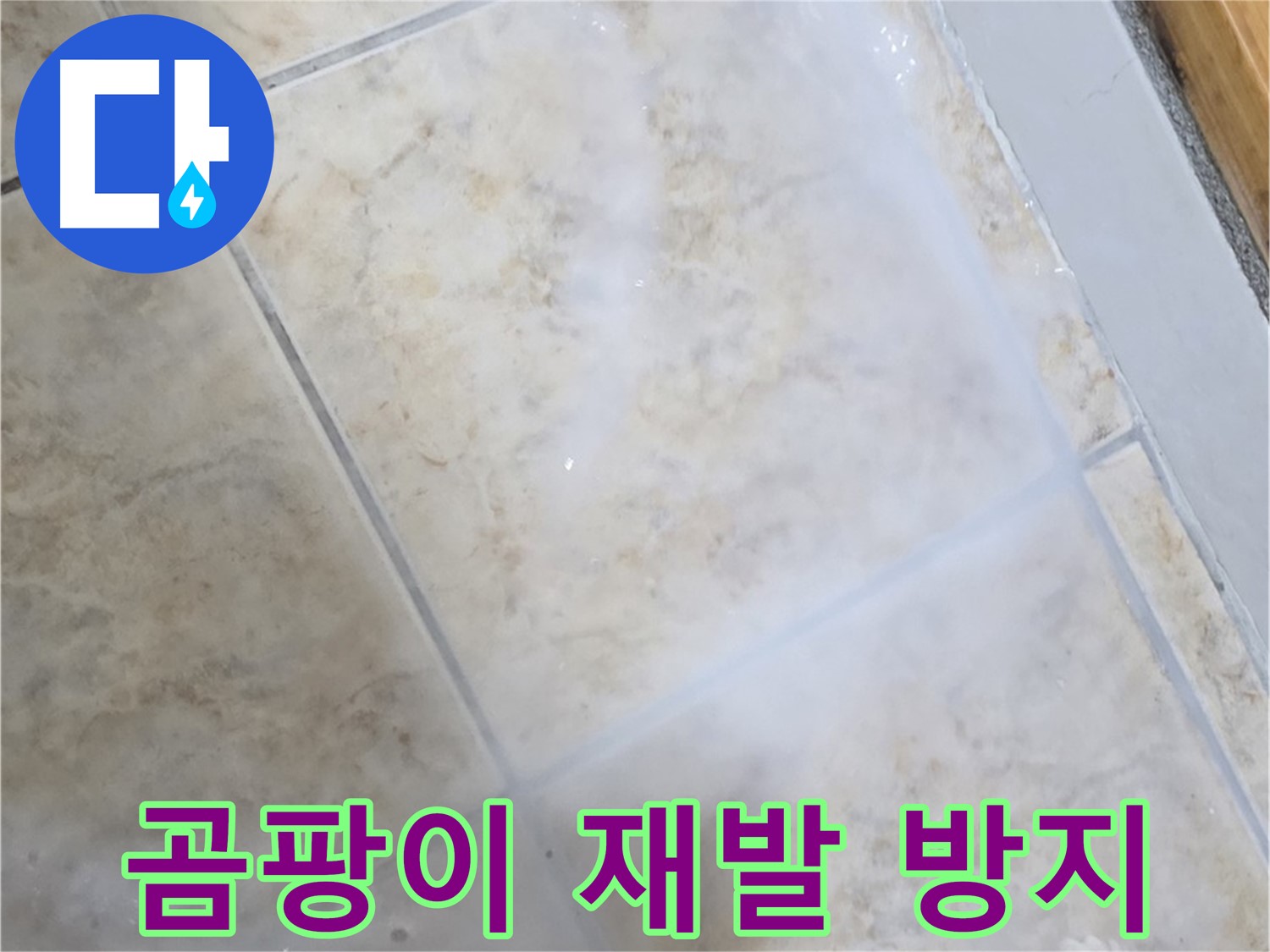 곰팡이 재발 방지 - 특수 약품 처리로 - 오랫동안 안심