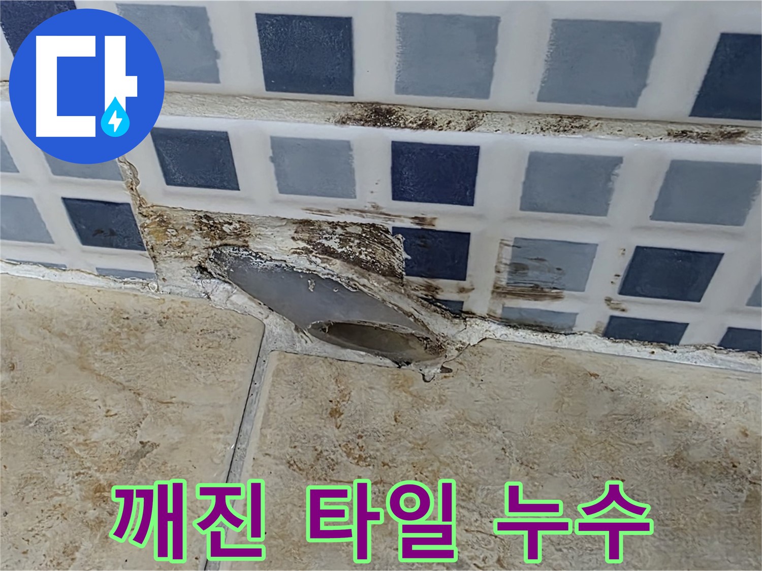 깨진 타일 아래 숨겨진 누수 - 곰팡이와 습기로 인한 손상
