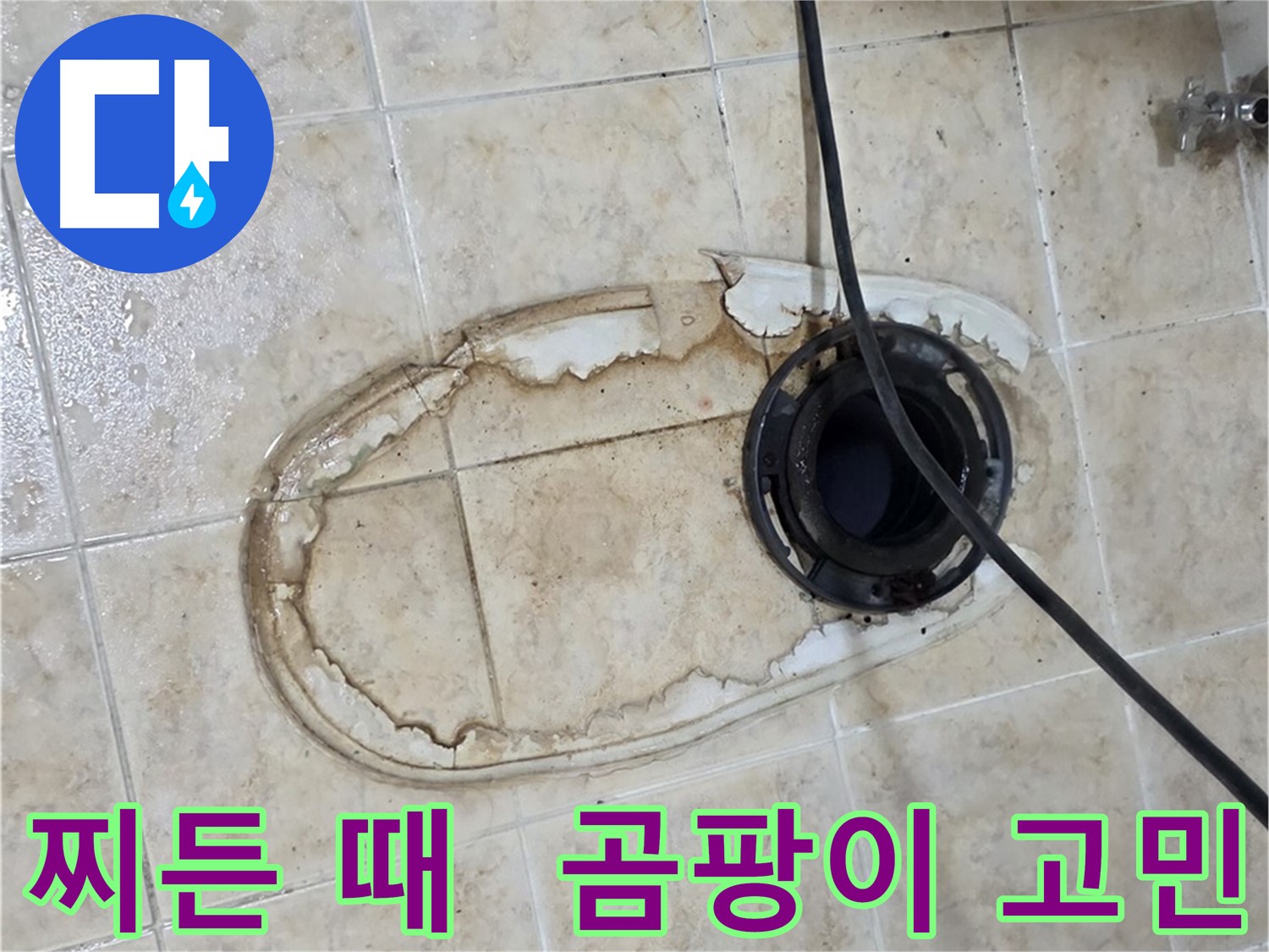 변기 누수 - 찌든 때와 곰팡이, 청소만으로 해결될까요?
