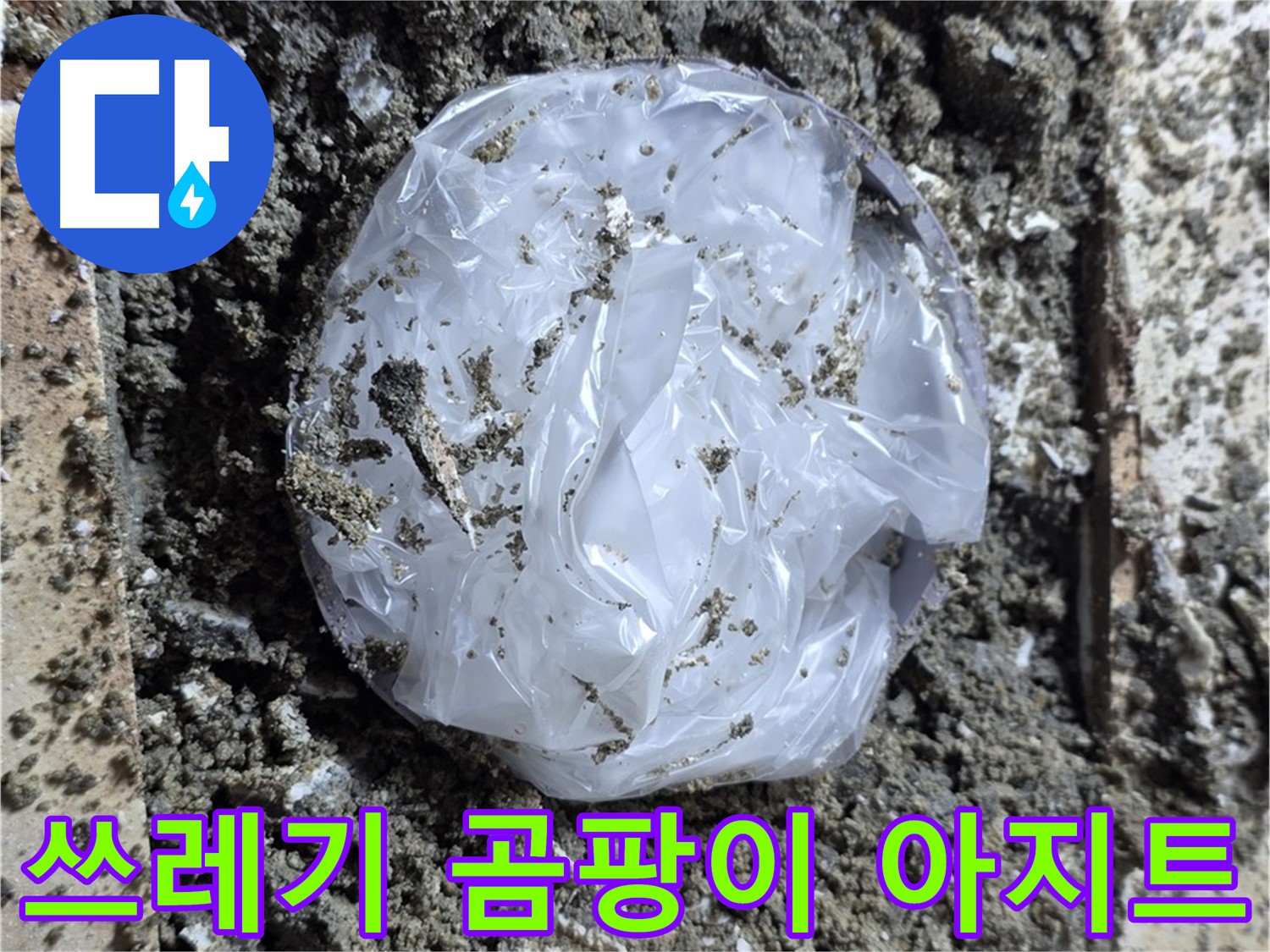 묵동 타일 밑 쓰레기 - 곰팡이 아지트!