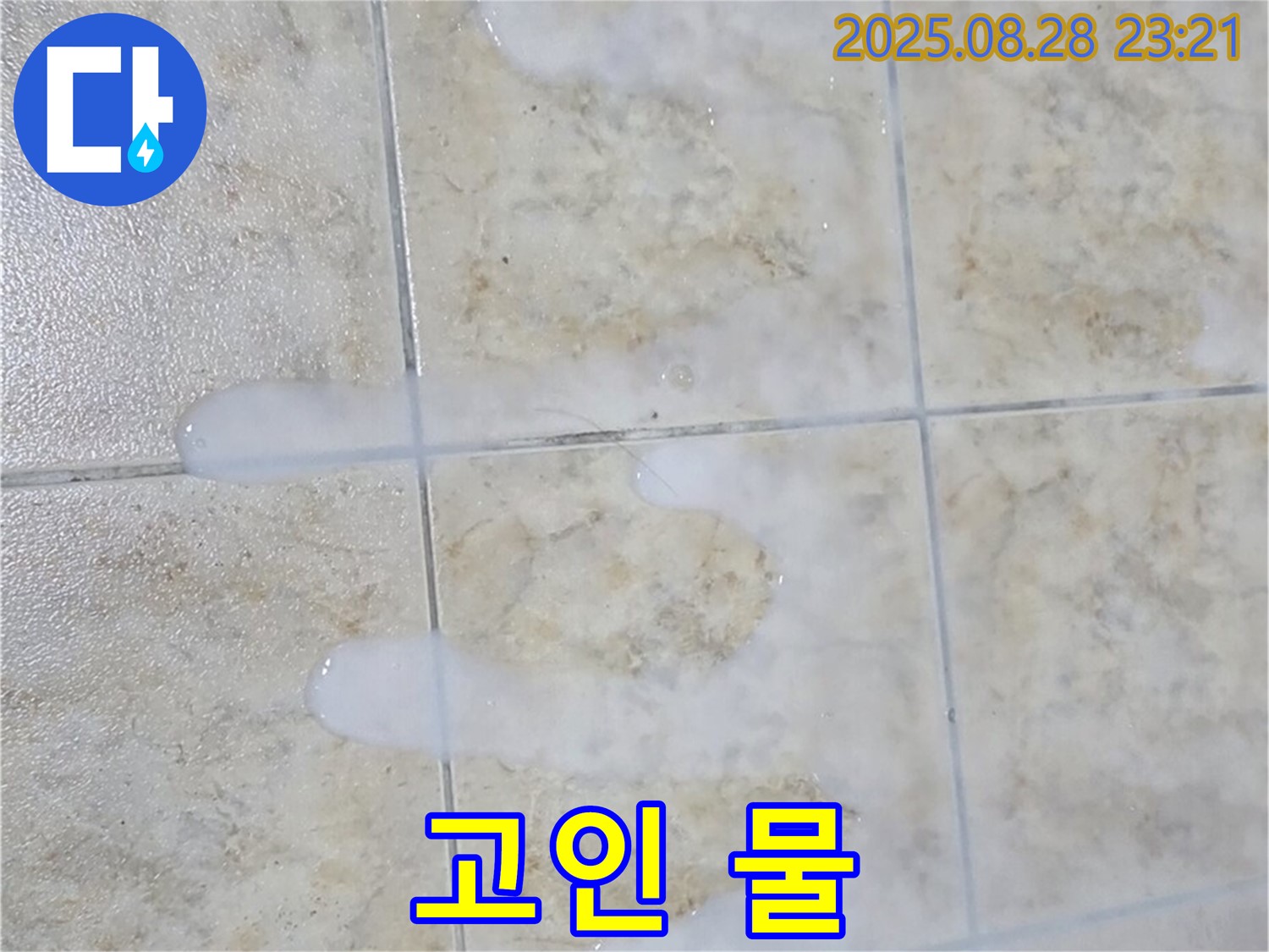 백시멘트 위 고인 물 - 중랑구 묵동 주택 욕실에서 백시멘트 위로 물이 고여있는 모습 - 누수 의심 증상입니다.