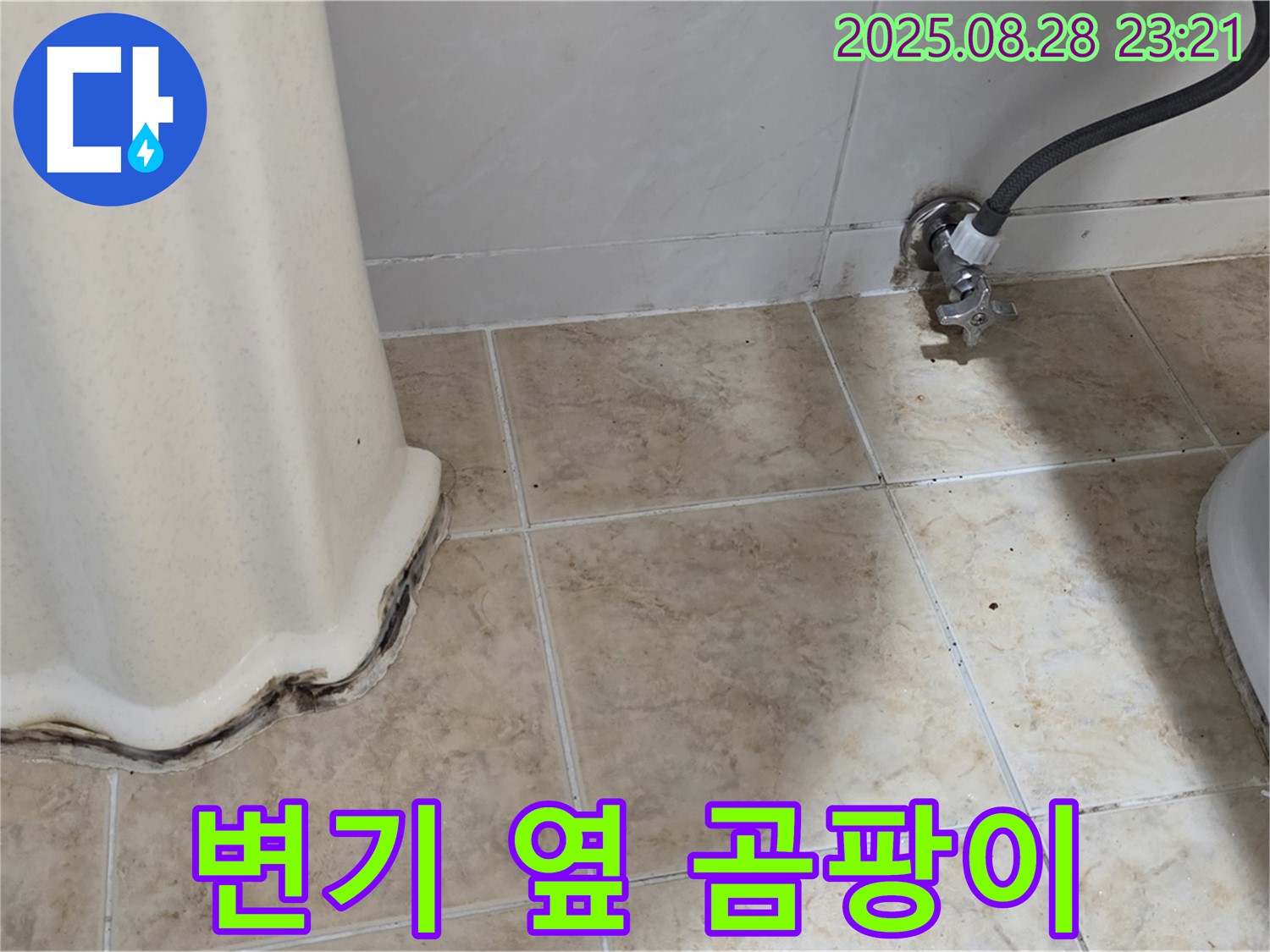 변기 옆 타일 곰팡이 누수 - 숙련된 기술과 꼼꼼한 시공으로 누수 걱정 없이!