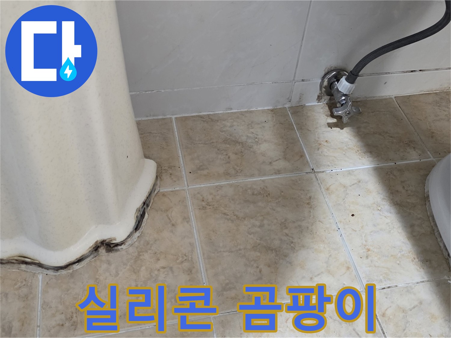 세면대 실리콘 곰팡이 - 검은 얼룩 - 실리콘 재시공
