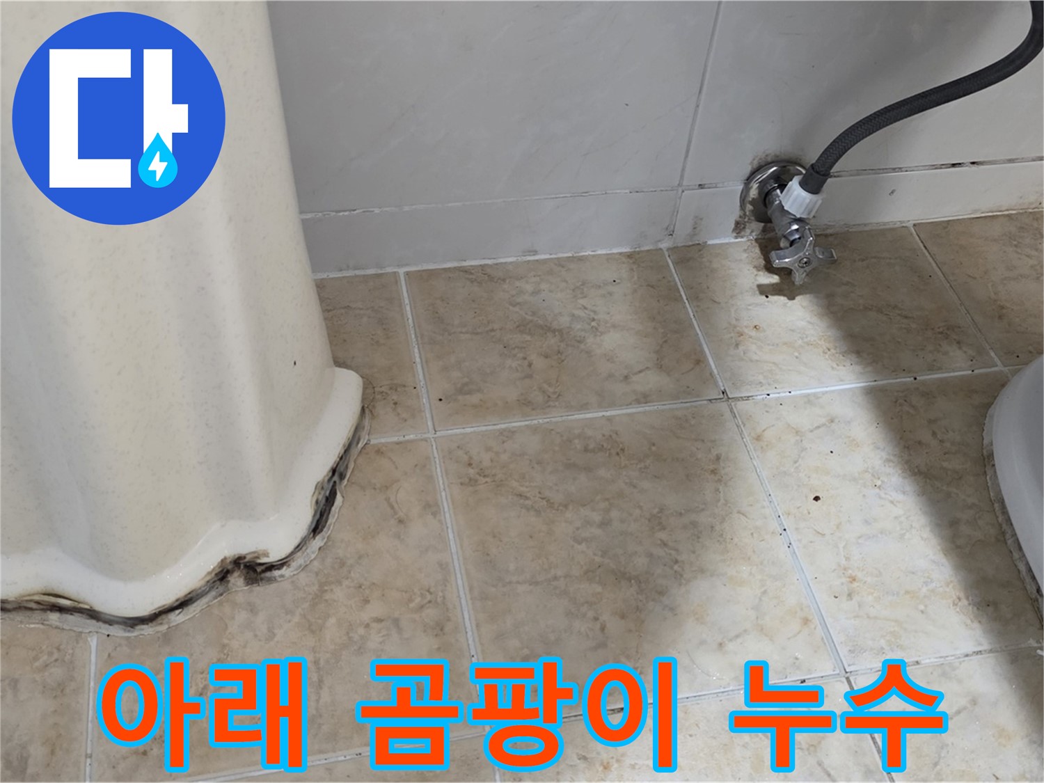 세면대 아래 곰팡이 - 건강 위협 - 곰팡이 제거 필수