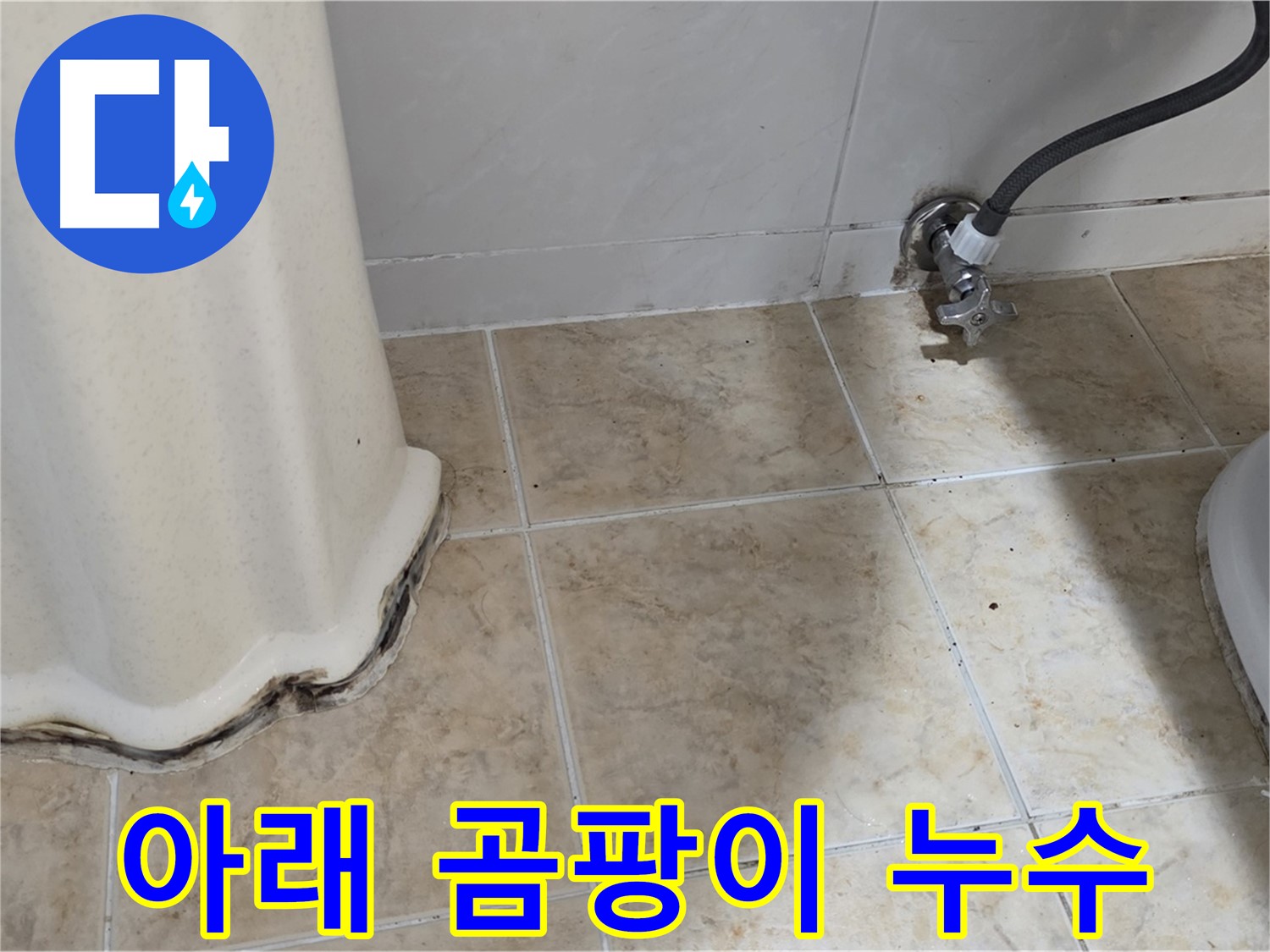 세면대 아래 곰팡이 - 건강 위협 - 곰팡이 제거 필수