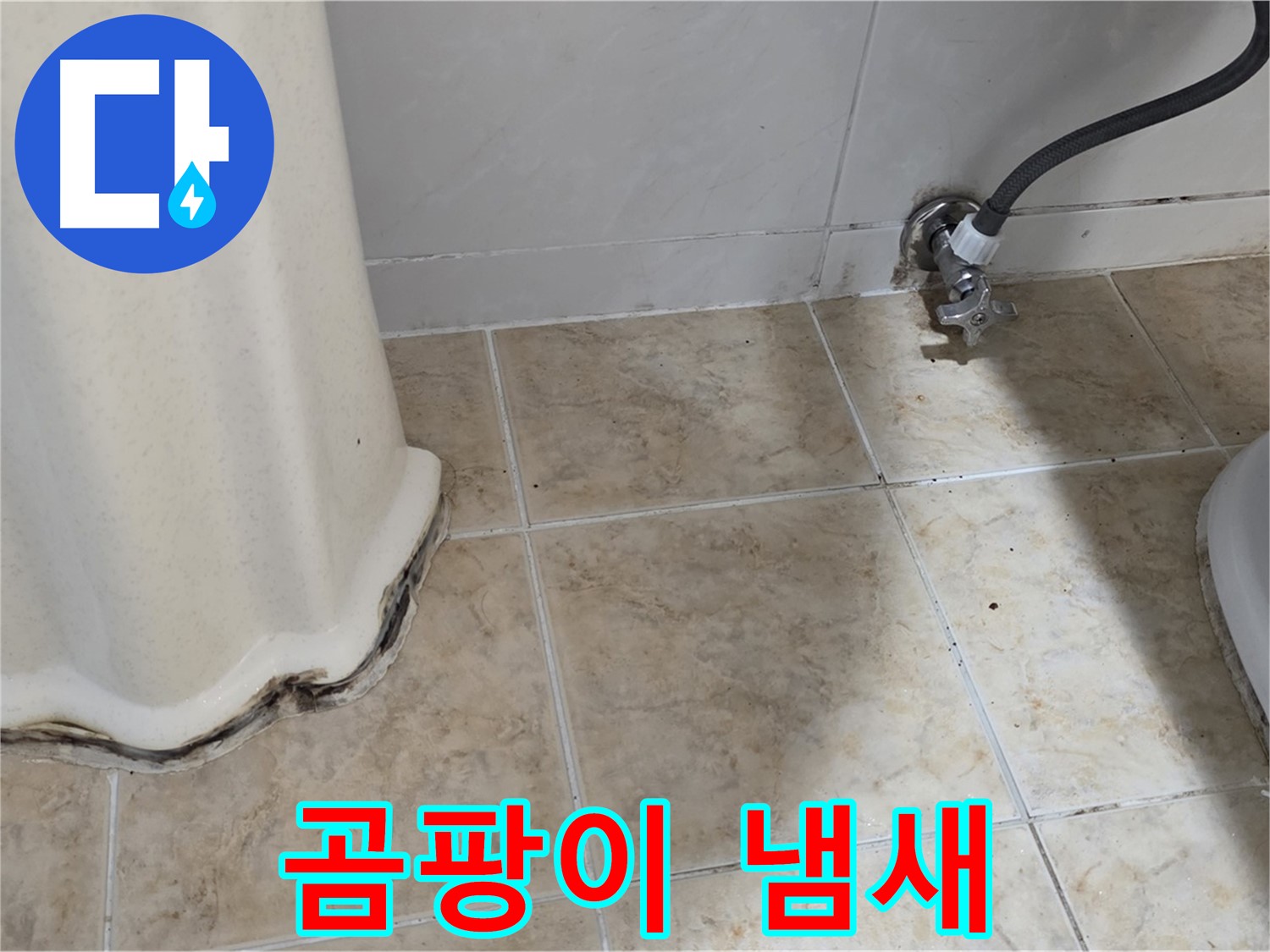 세면대 아래 곰팡이 냄새 - 쾌적한 욕실을 망쳐요 - 냄새 제거 전문가