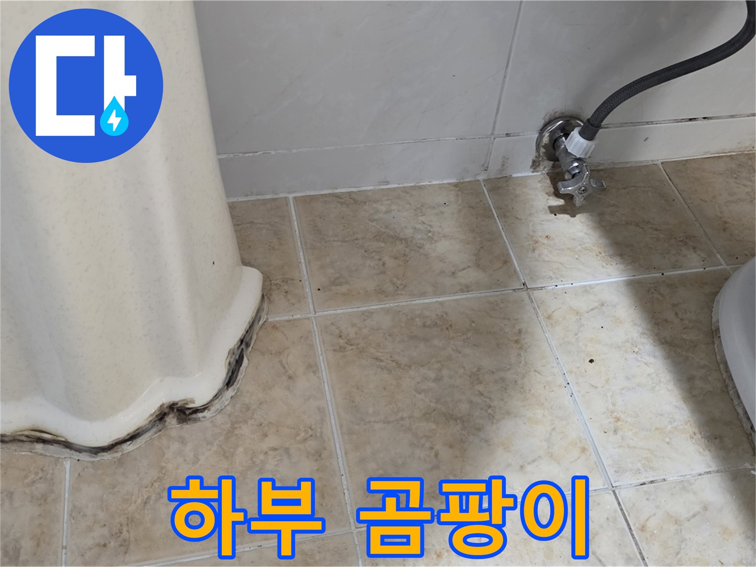 세면대 하부 곰팡이 - 우리 가족 건강을 지켜주세요 - 곰팡이 제거 필수