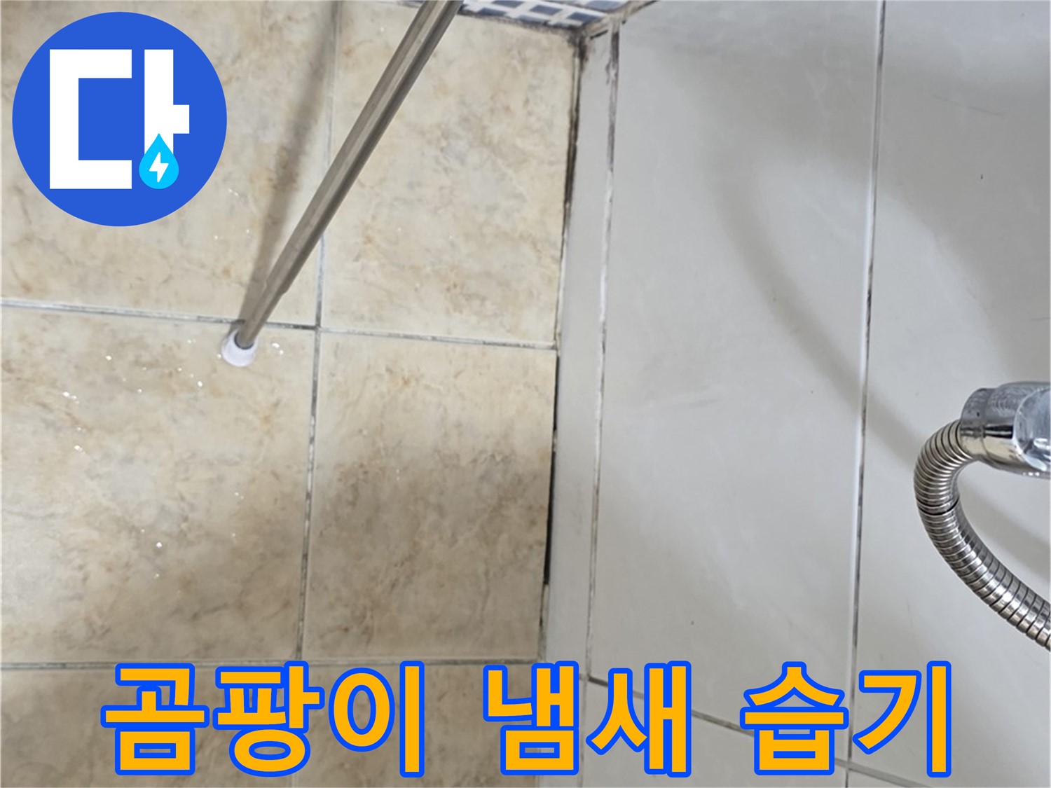 욕실 곰팡이 냄새 - 습기 - 누수 초기 - 꼼꼼한 확인
