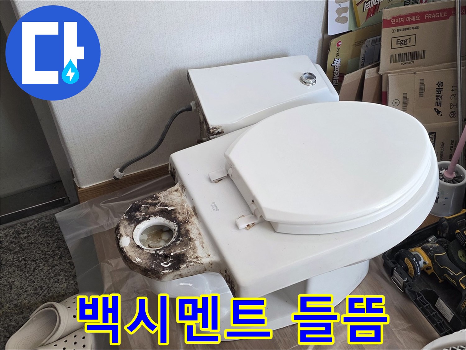 중랑구 묵동 변기 백시멘트 들뜸 - 누수 원인 제거 후 재시공으로 해결!