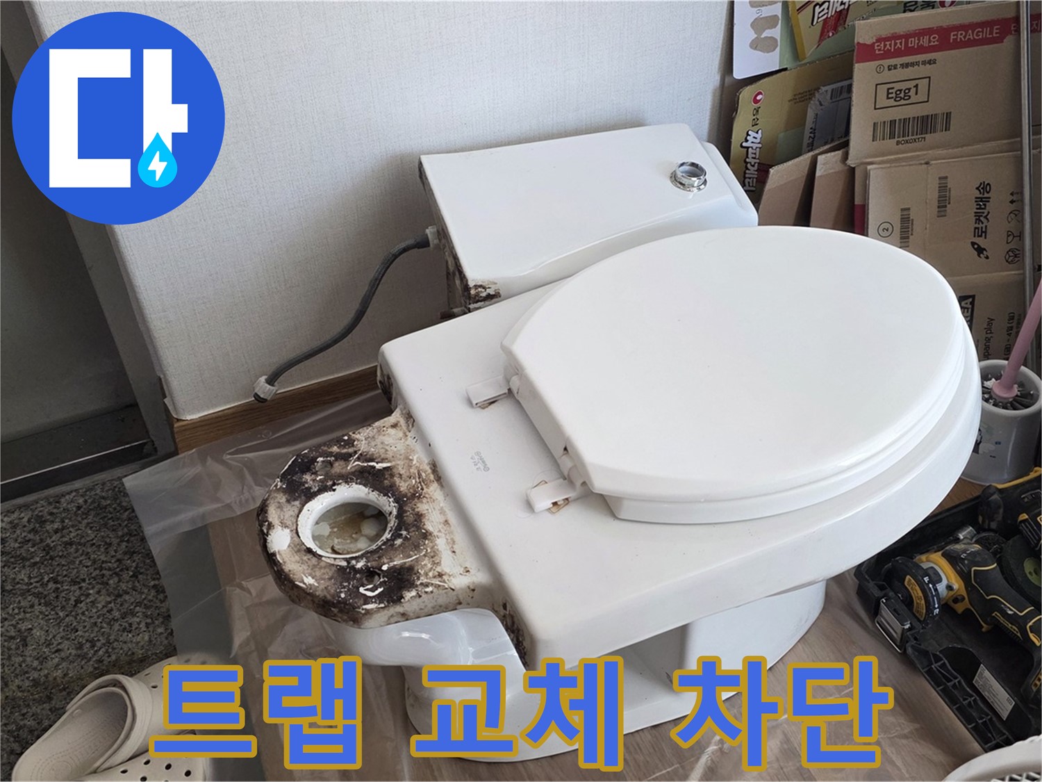 중랑구 묵동 변기 오물 트랩 교체 - 꼼꼼한 시공으로 냄새와 벌레를 완벽하게 차단합니다!